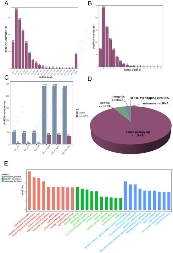 Antioxidants 13 00094 g008