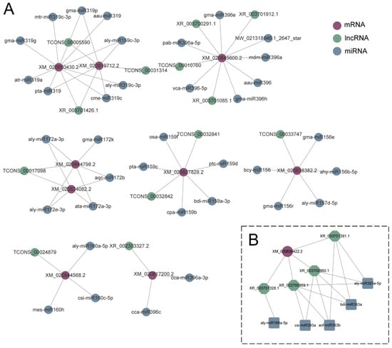 Antioxidants 13 00094 g010