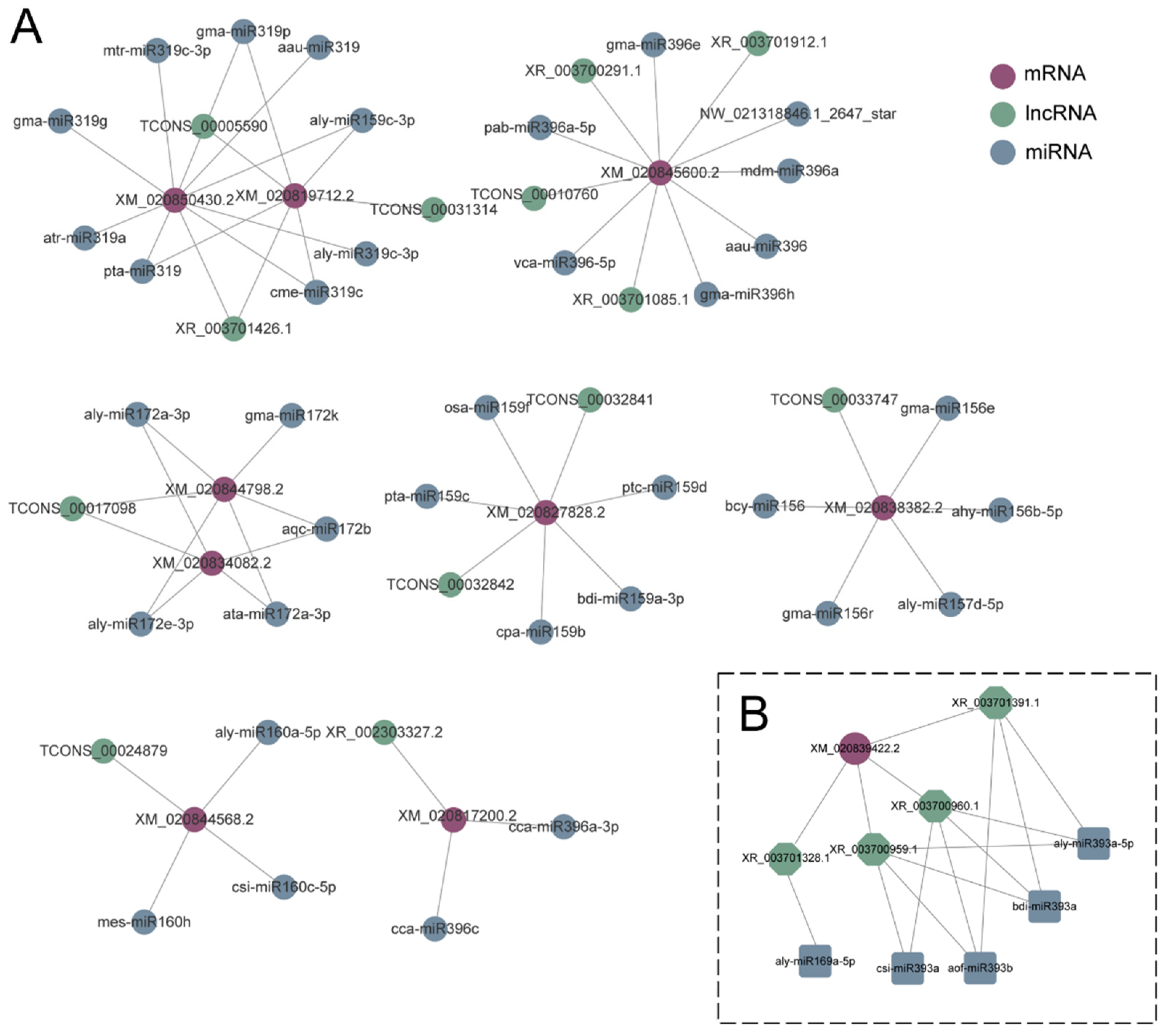 Antioxidants 13 00094 g010