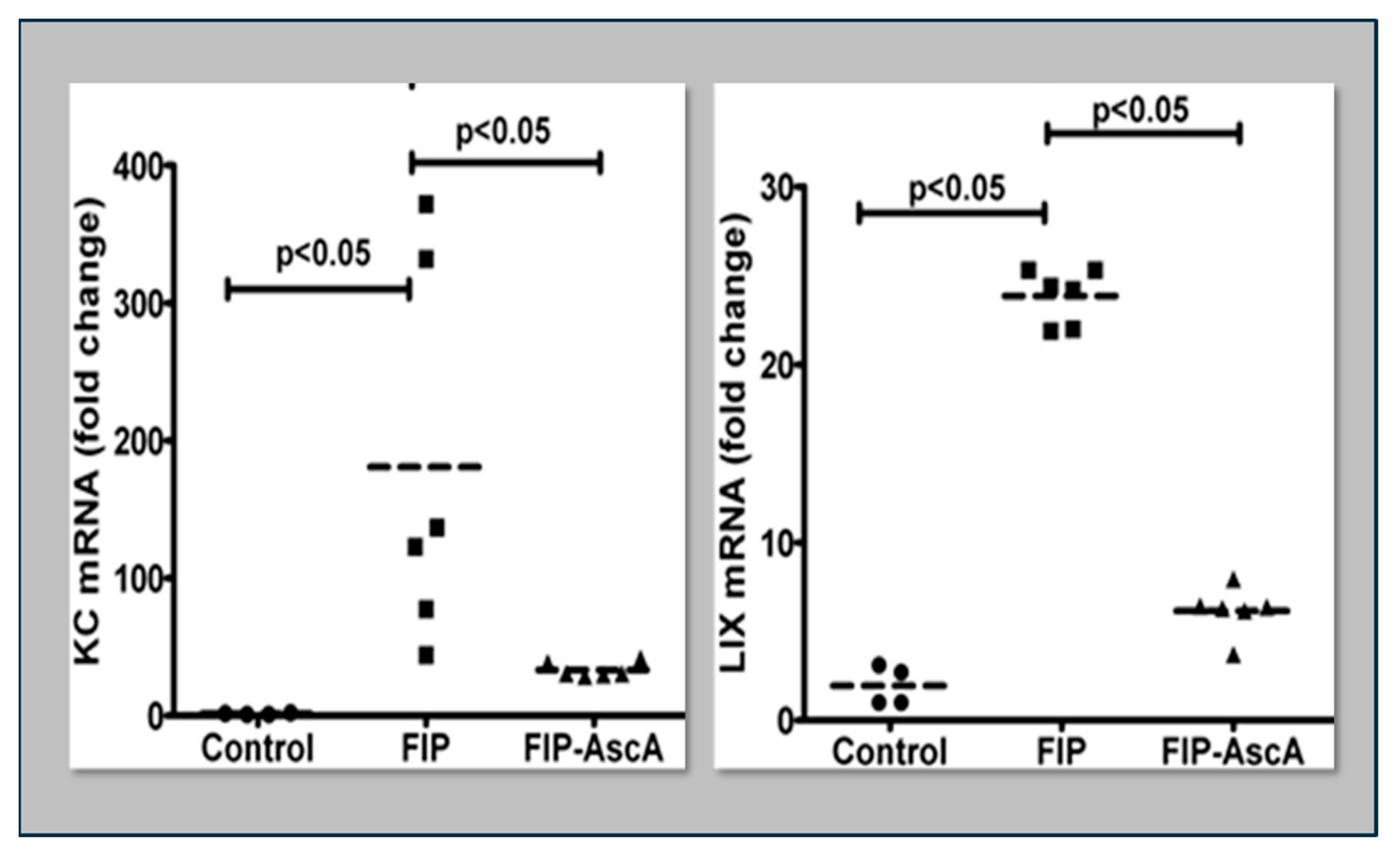 Antioxidants 13 00095 g005