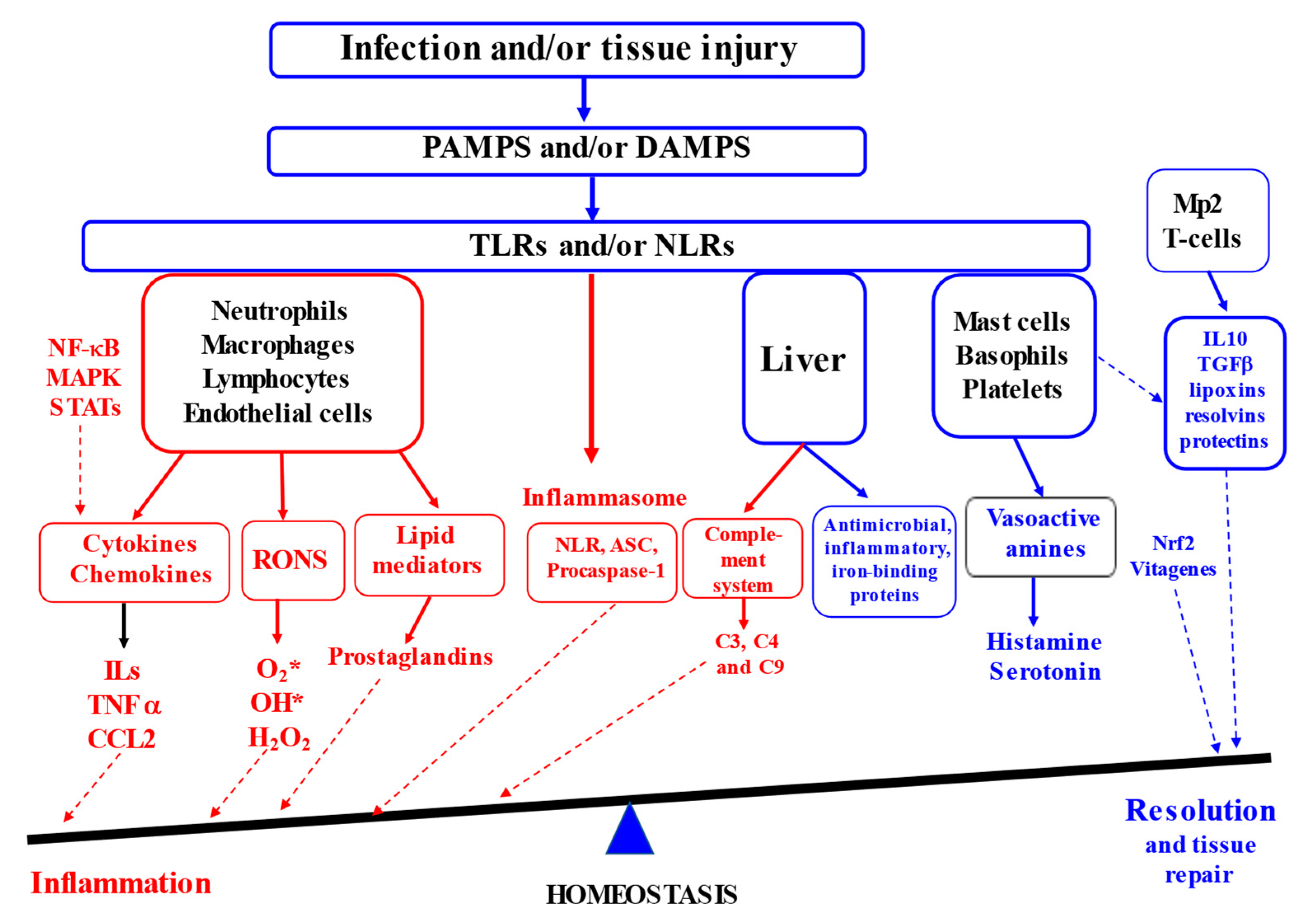 Antioxidants 13 00098 g001