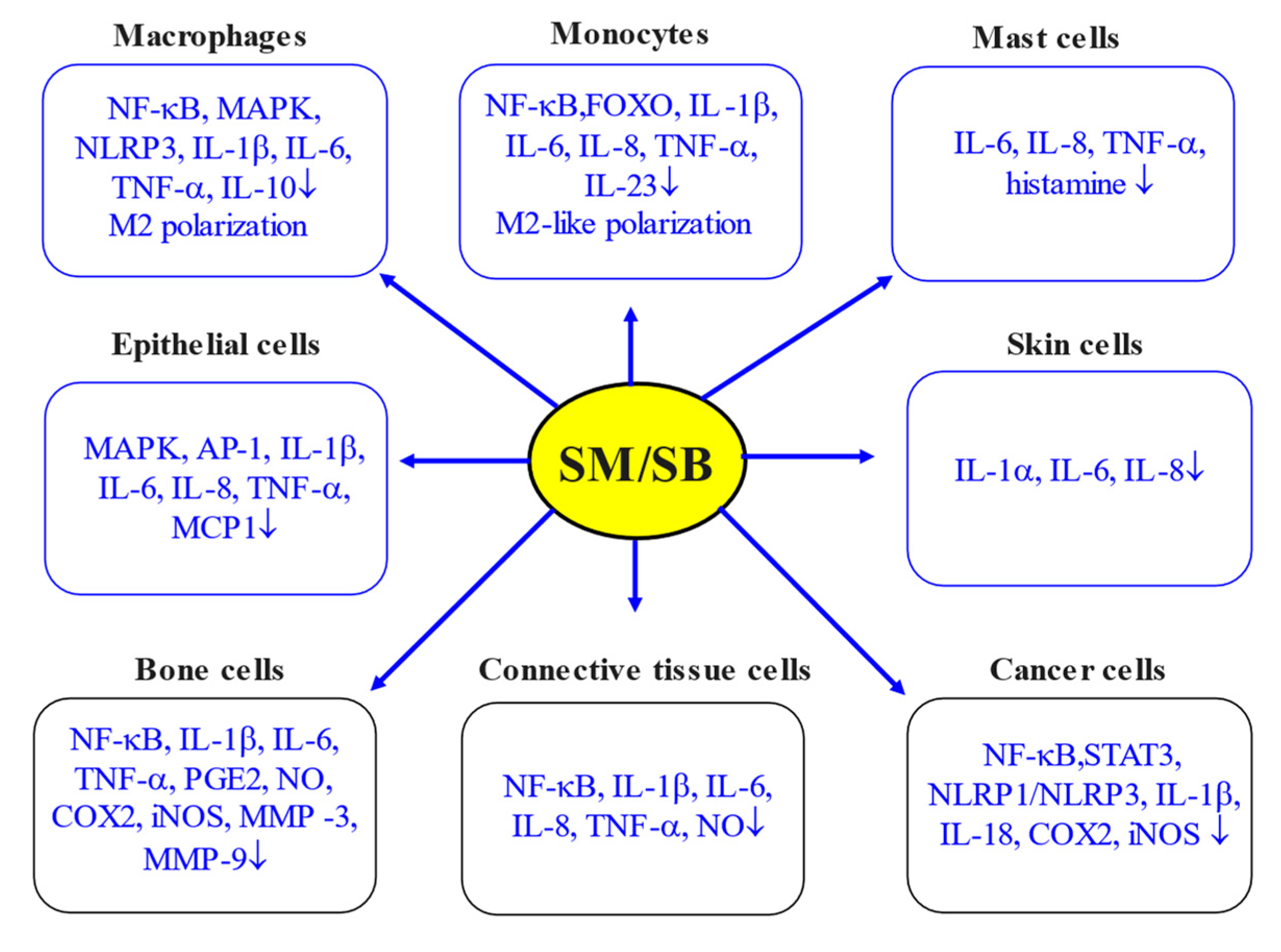 Antioxidants 13 00098 g003