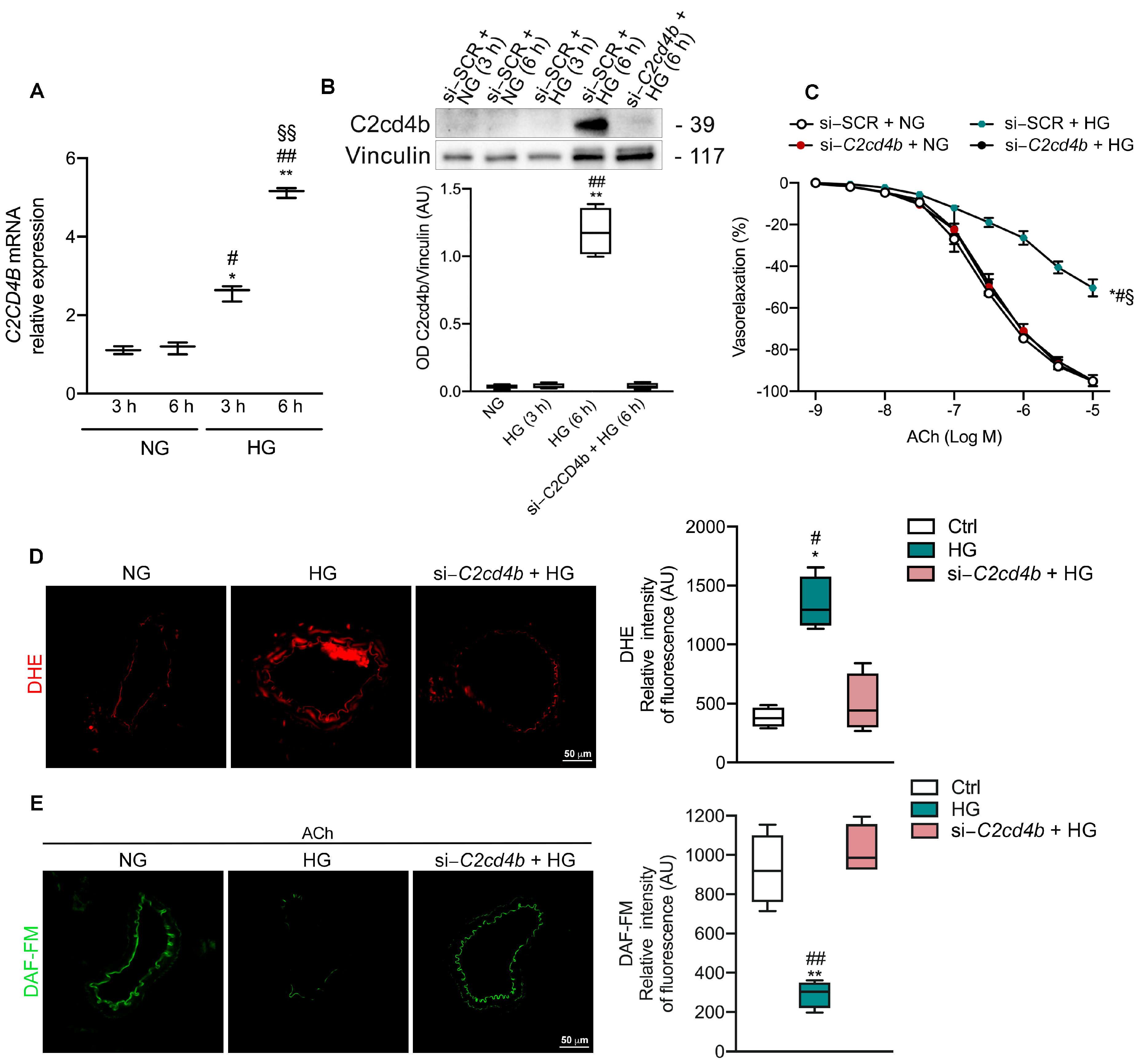 Antioxidants 13 00101 g001