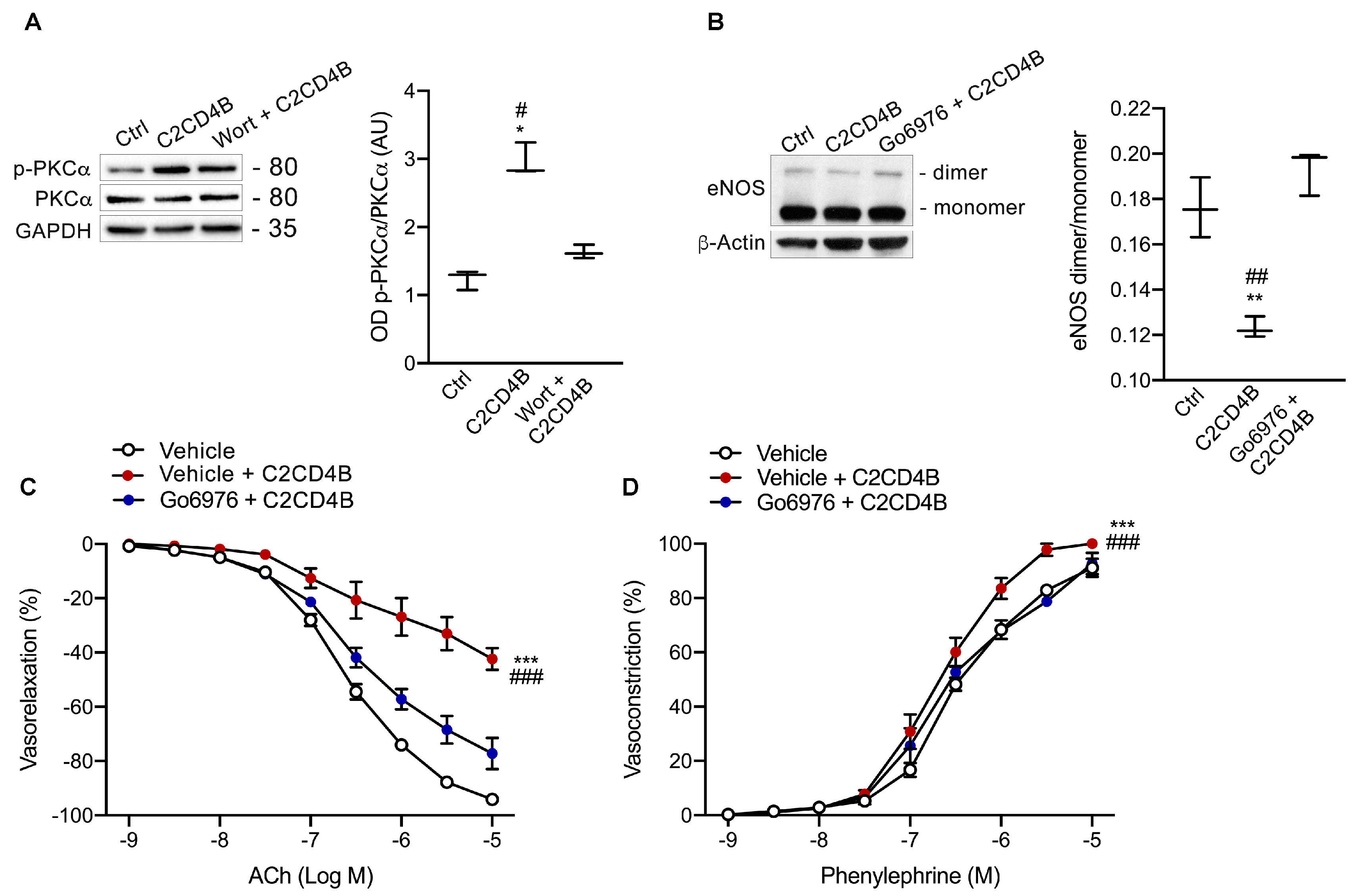 Antioxidants 13 00101 g006