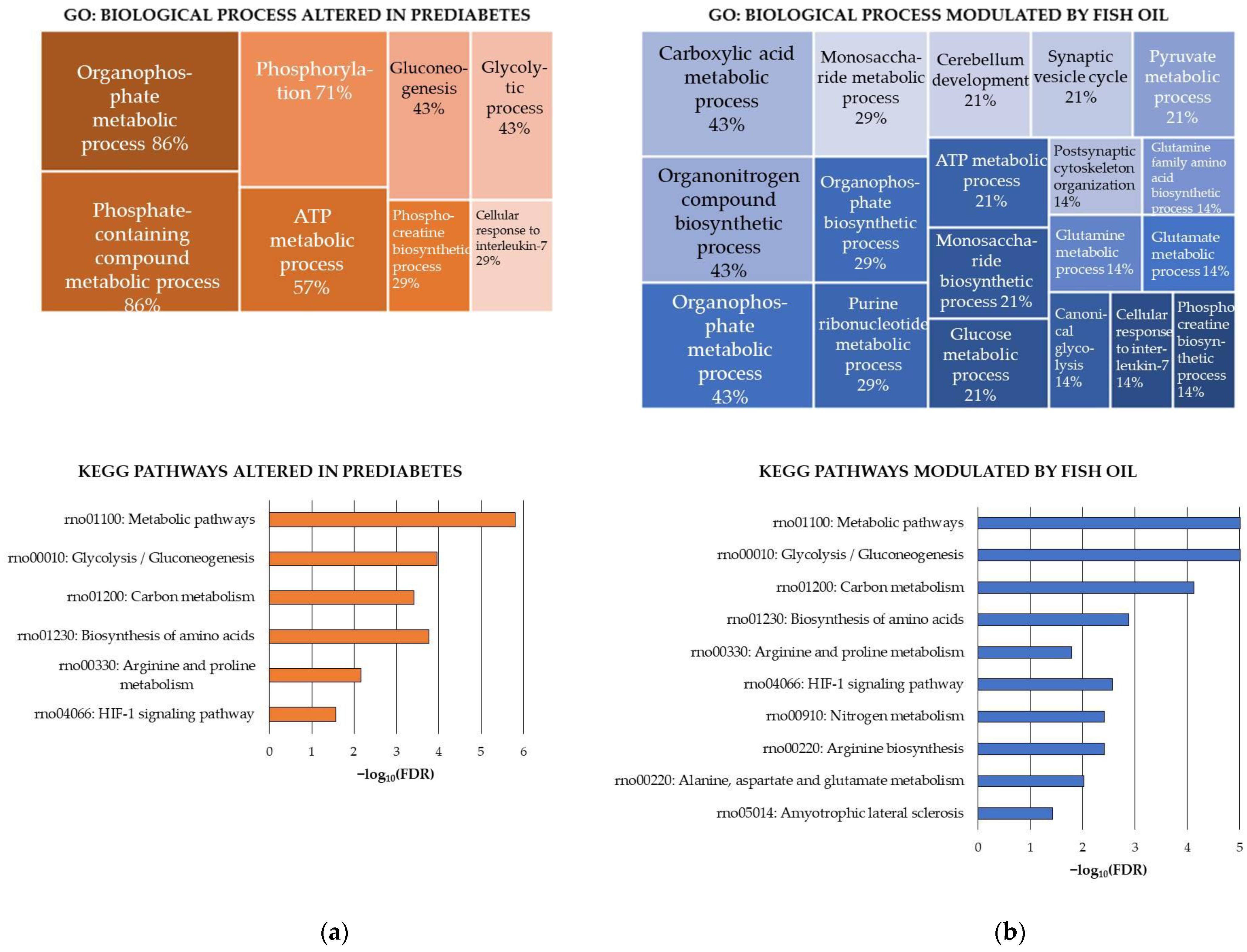 Antioxidants 13 00103 g003