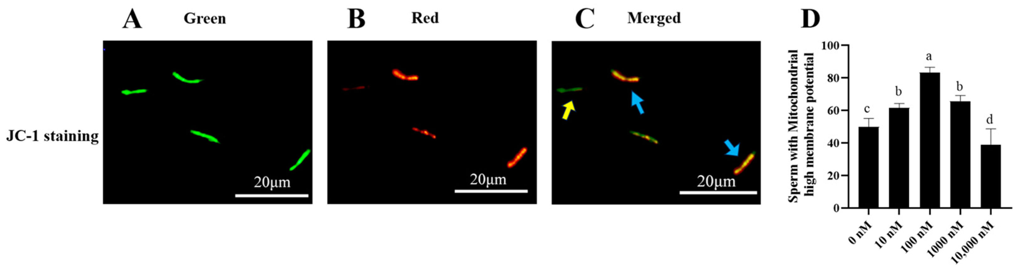 Antioxidants 13 00104 g003