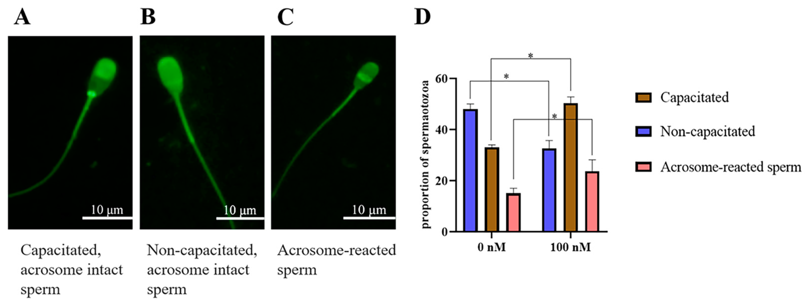 Antioxidants 13 00104 g009