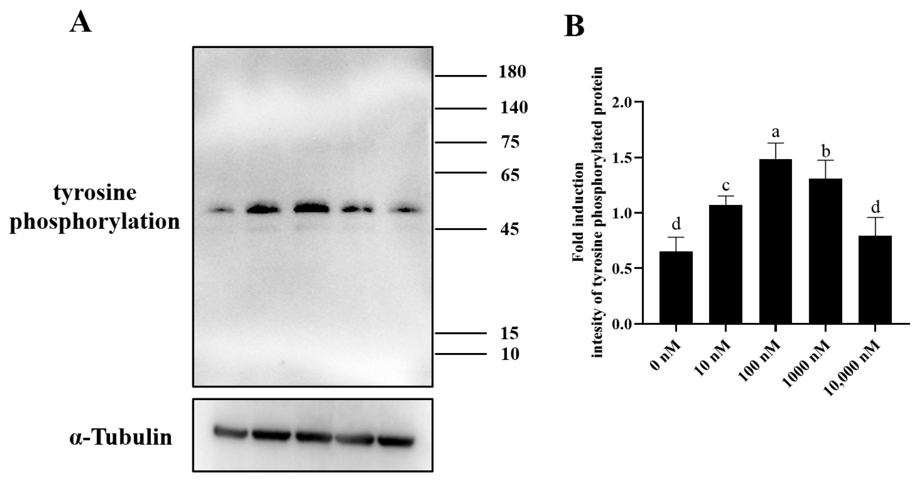 Antioxidants 13 00104 g010