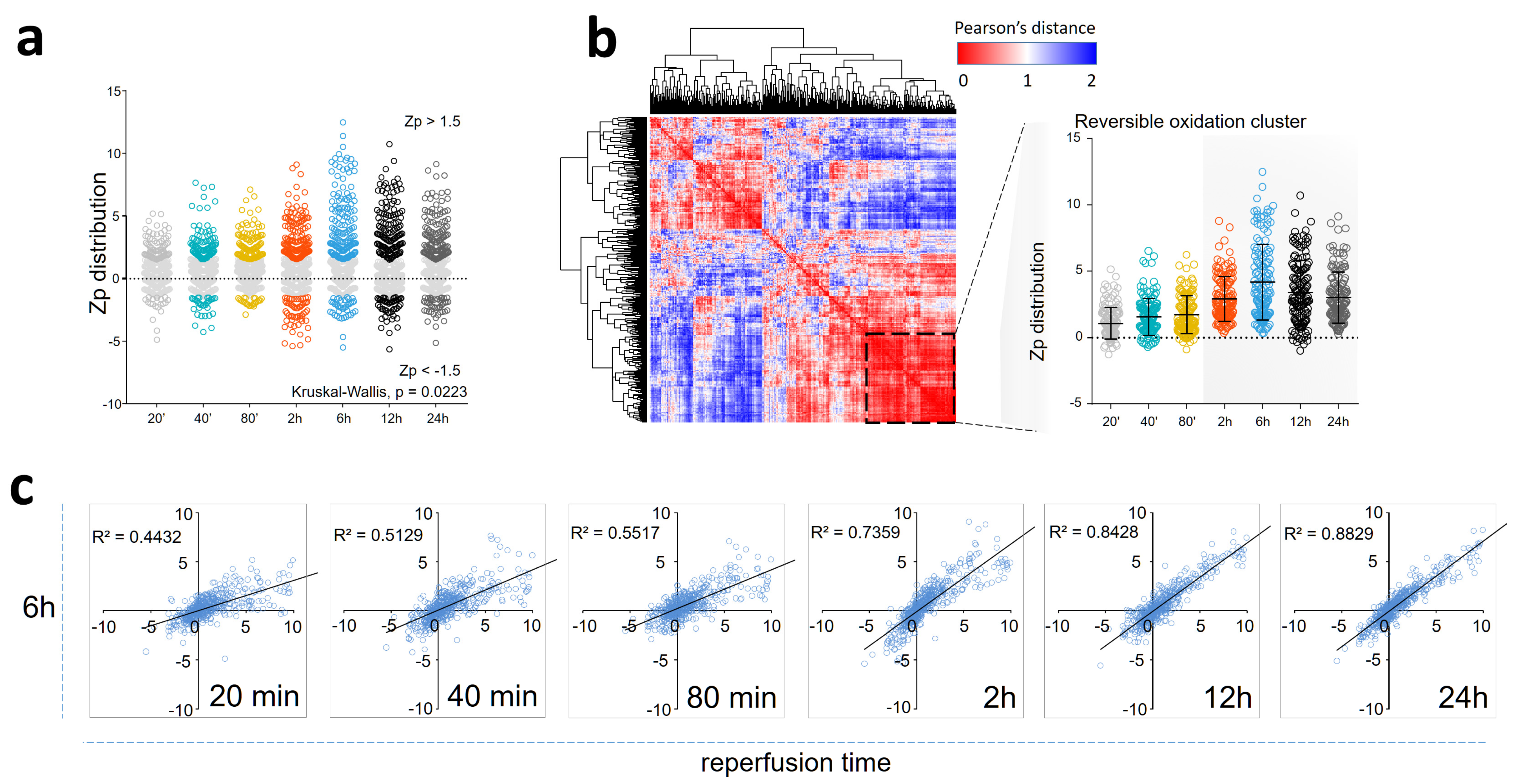Antioxidants 13 00106 g001