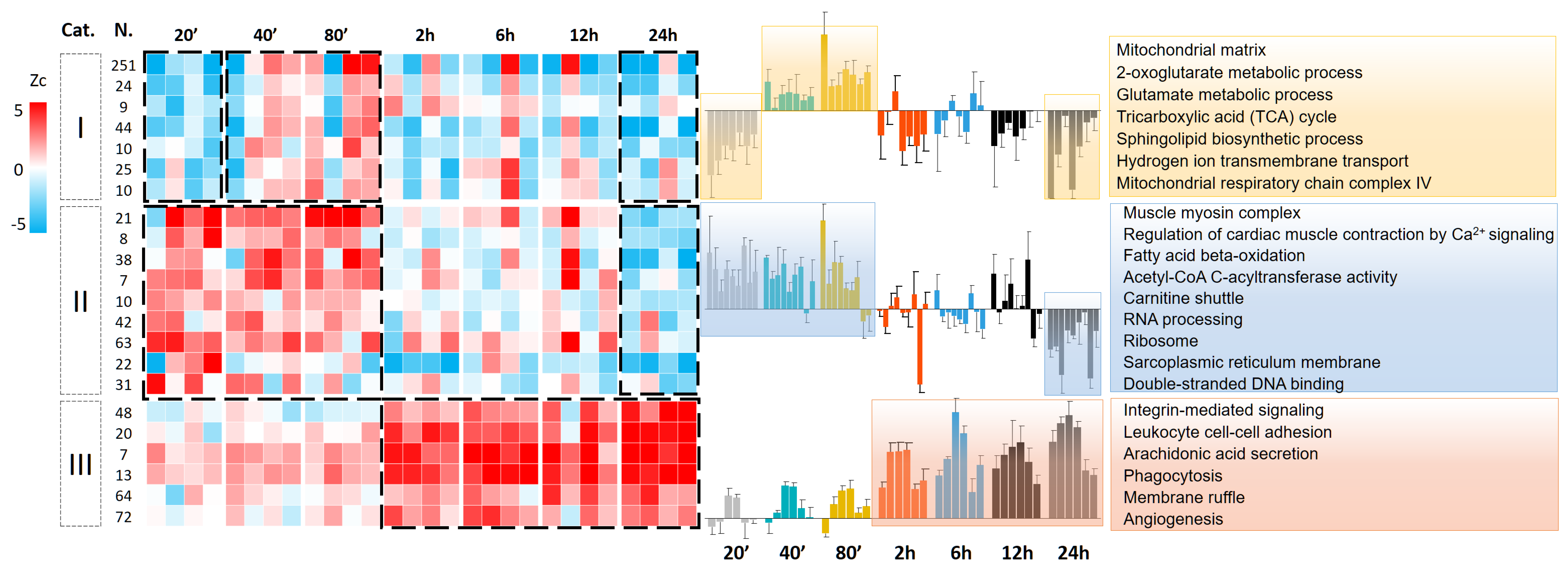 Antioxidants 13 00106 g003
