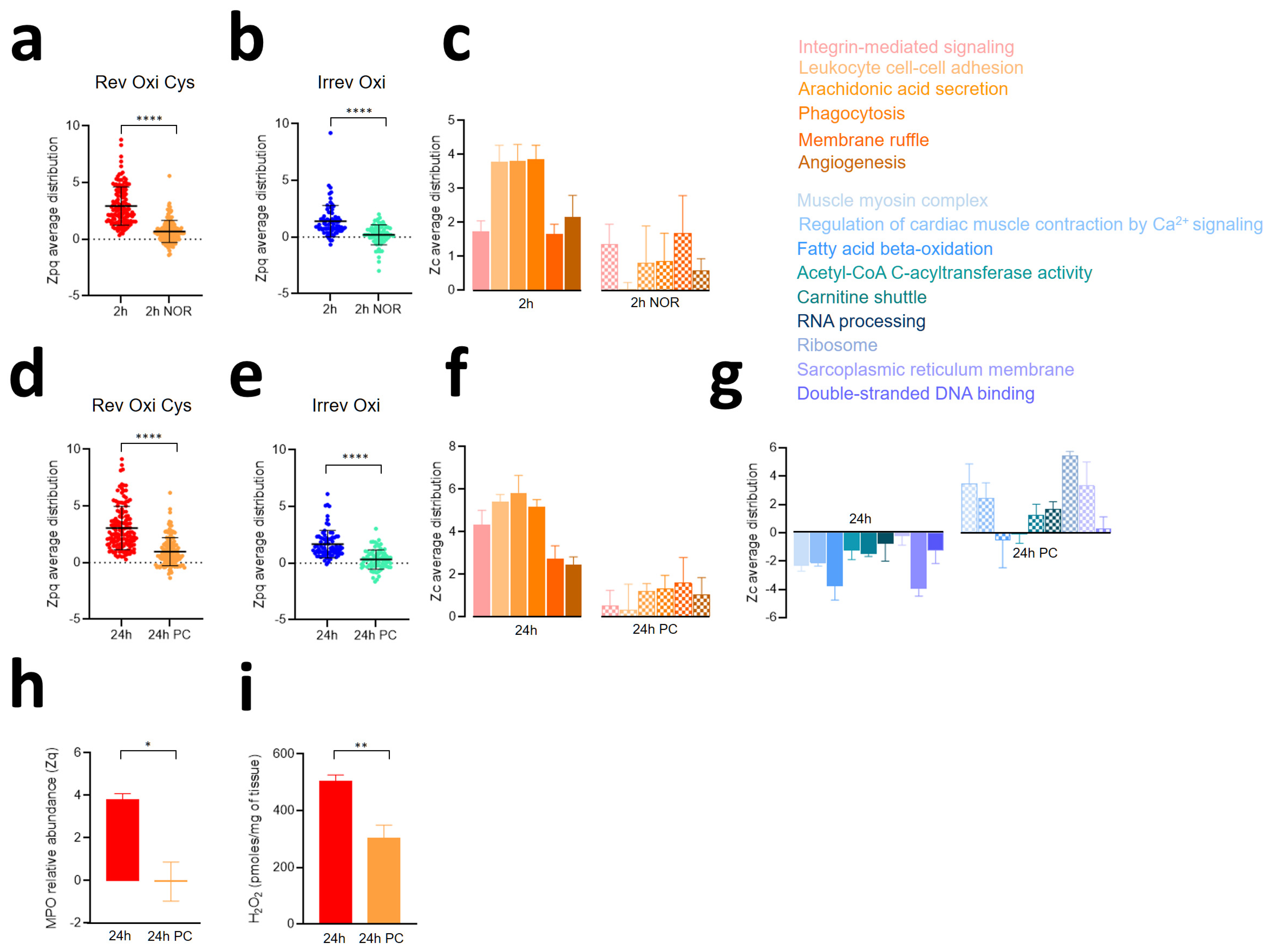 Antioxidants 13 00106 g004