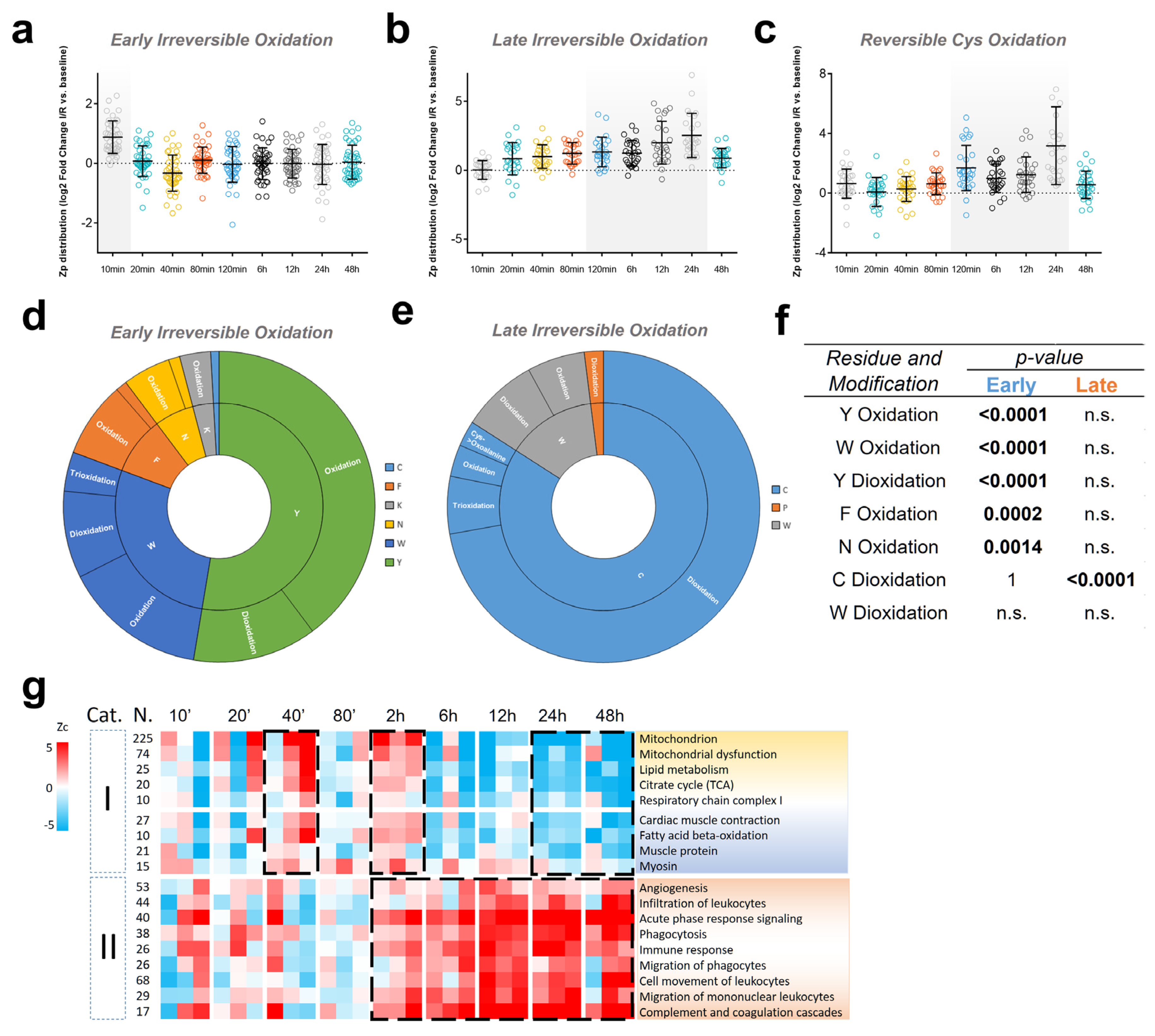Antioxidants 13 00106 g005