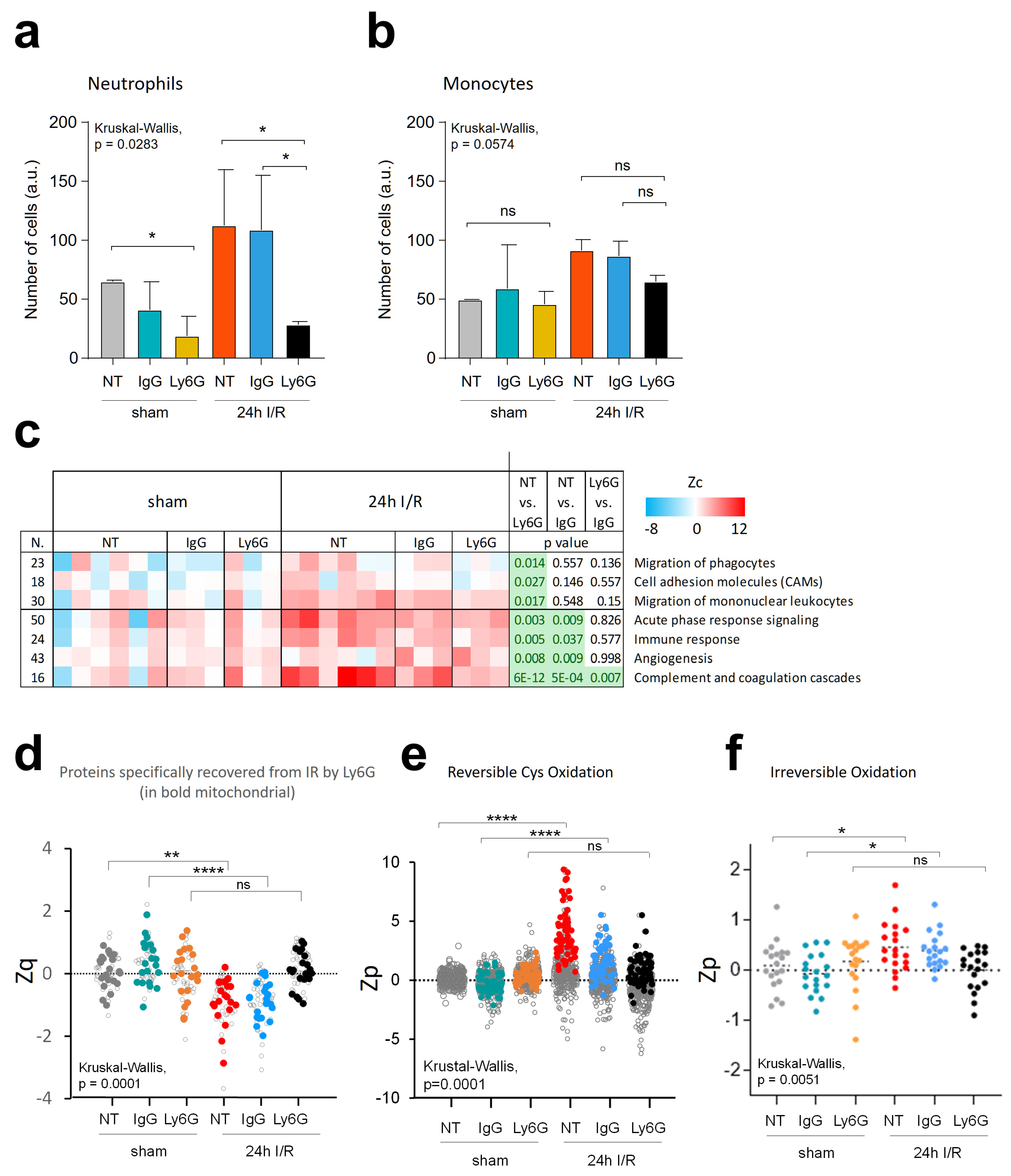 Antioxidants 13 00106 g006