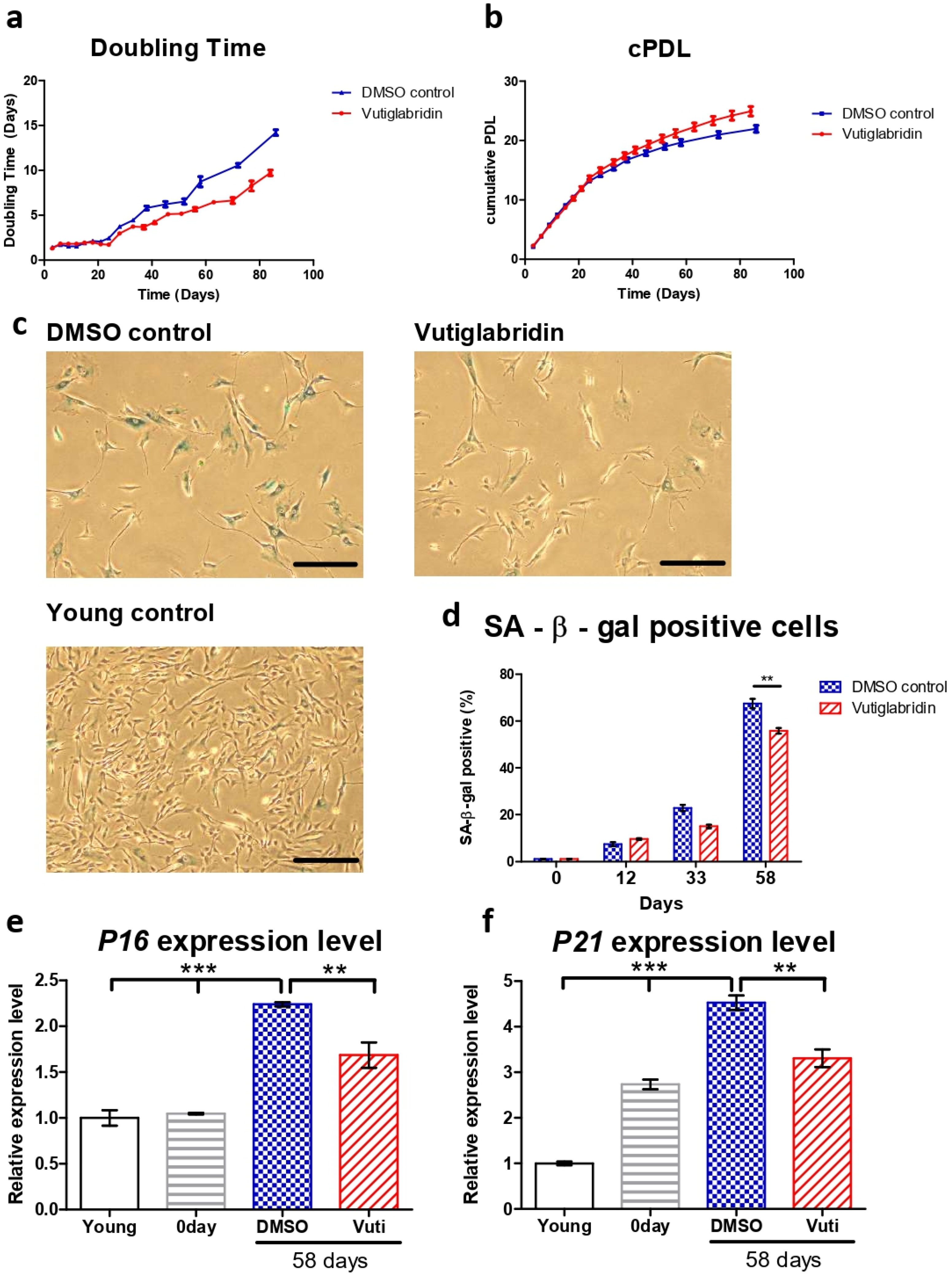 Antioxidants 13 00109 g001