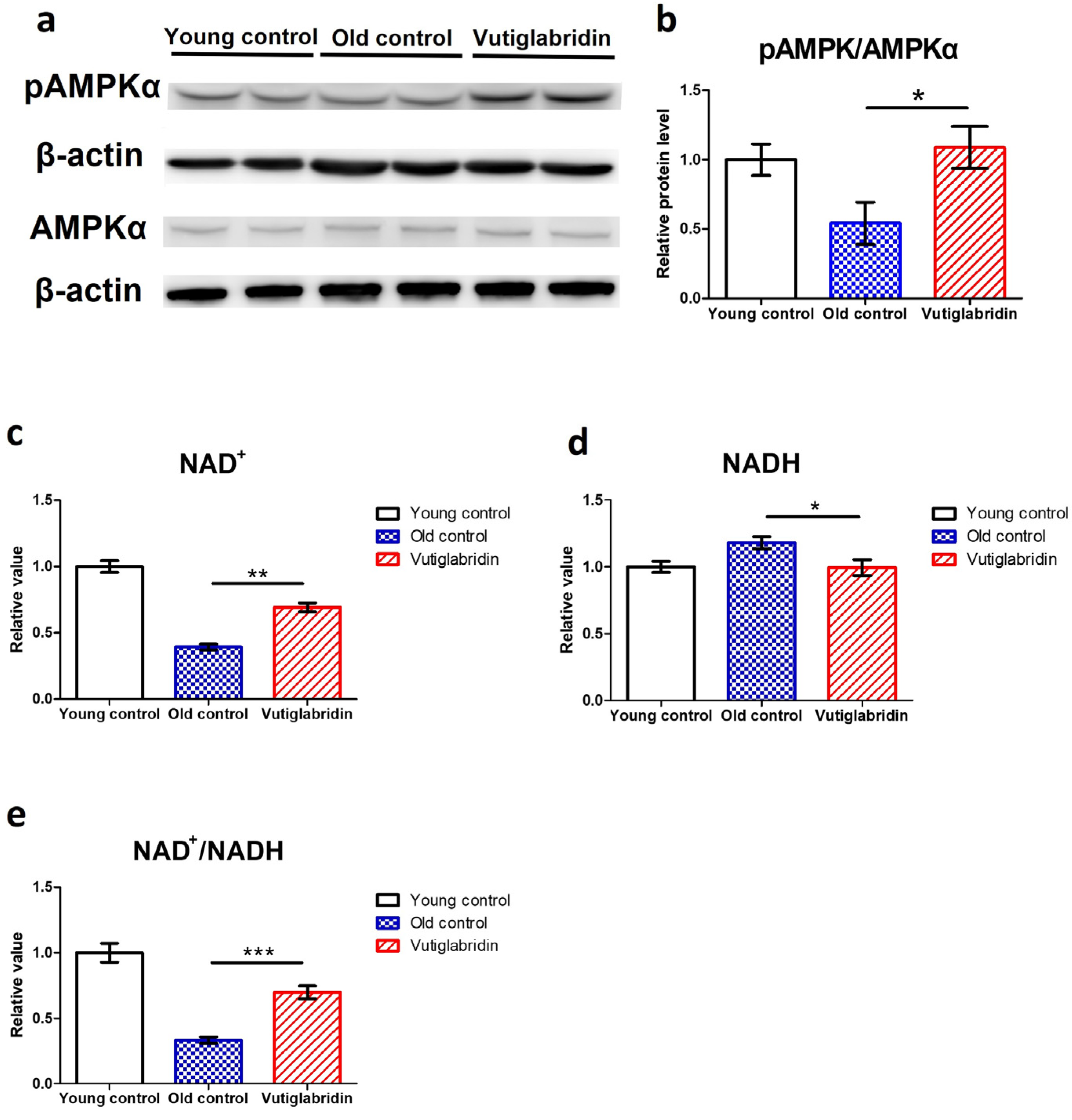 Antioxidants 13 00109 g003