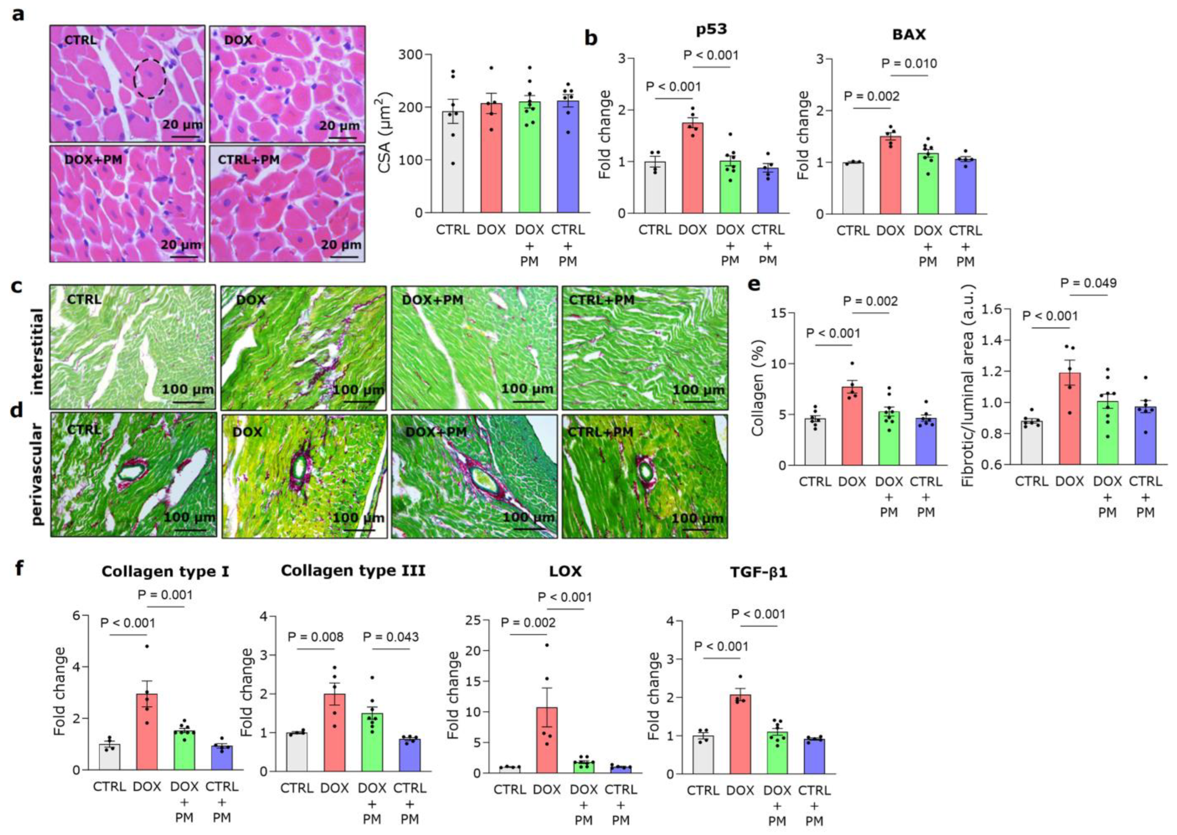Antioxidants 13 00112 g001