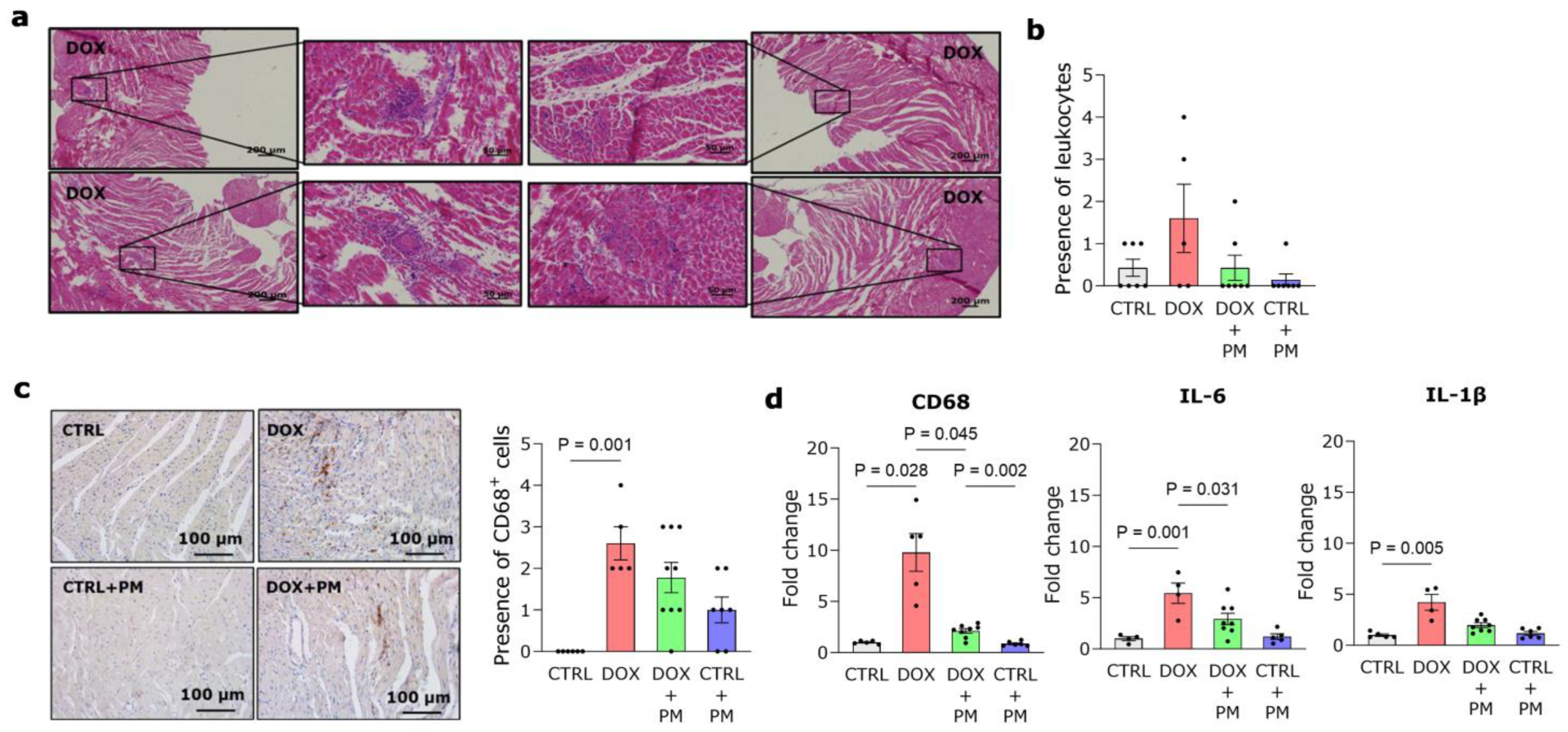 Antioxidants 13 00112 g002
