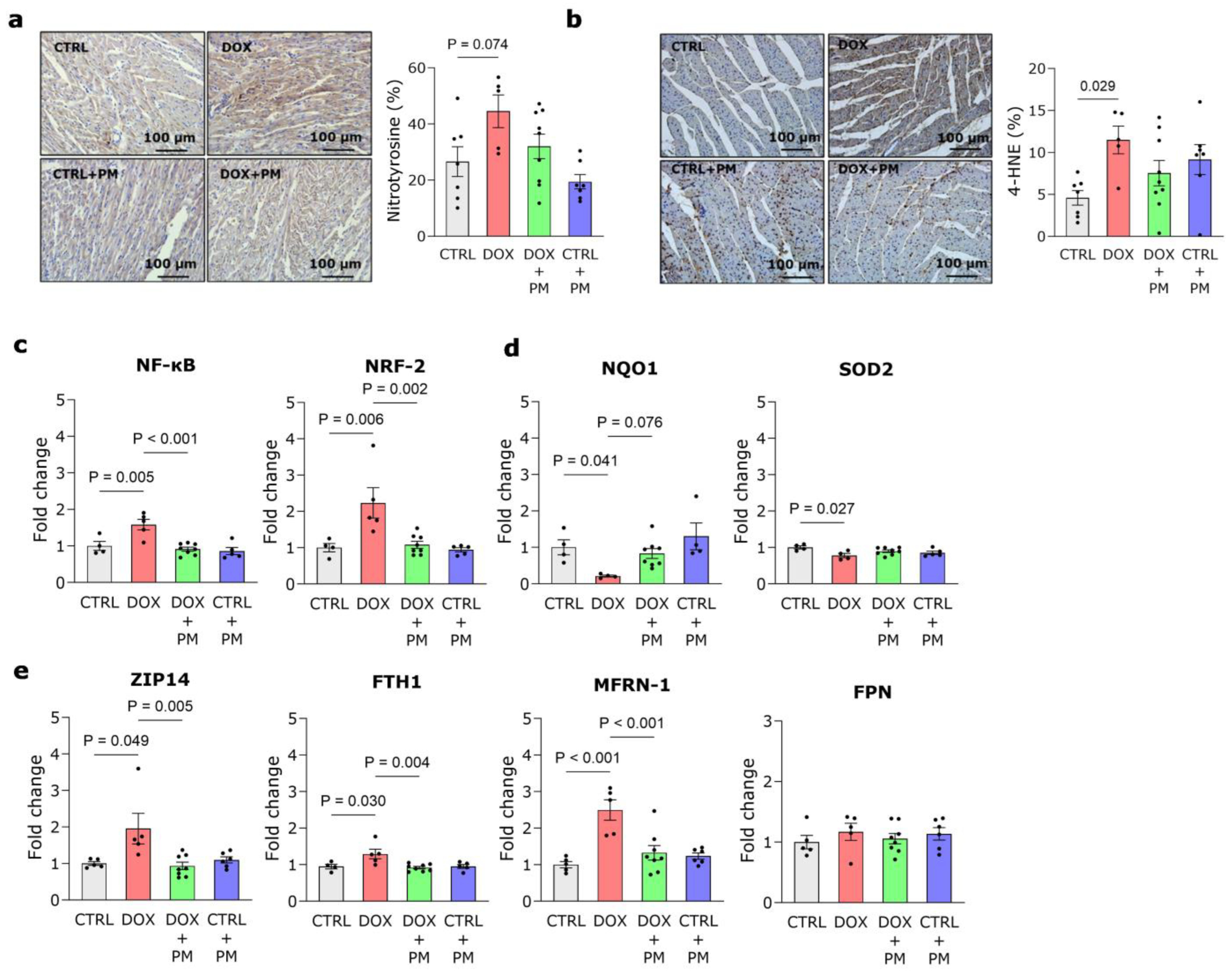 Antioxidants 13 00112 g003