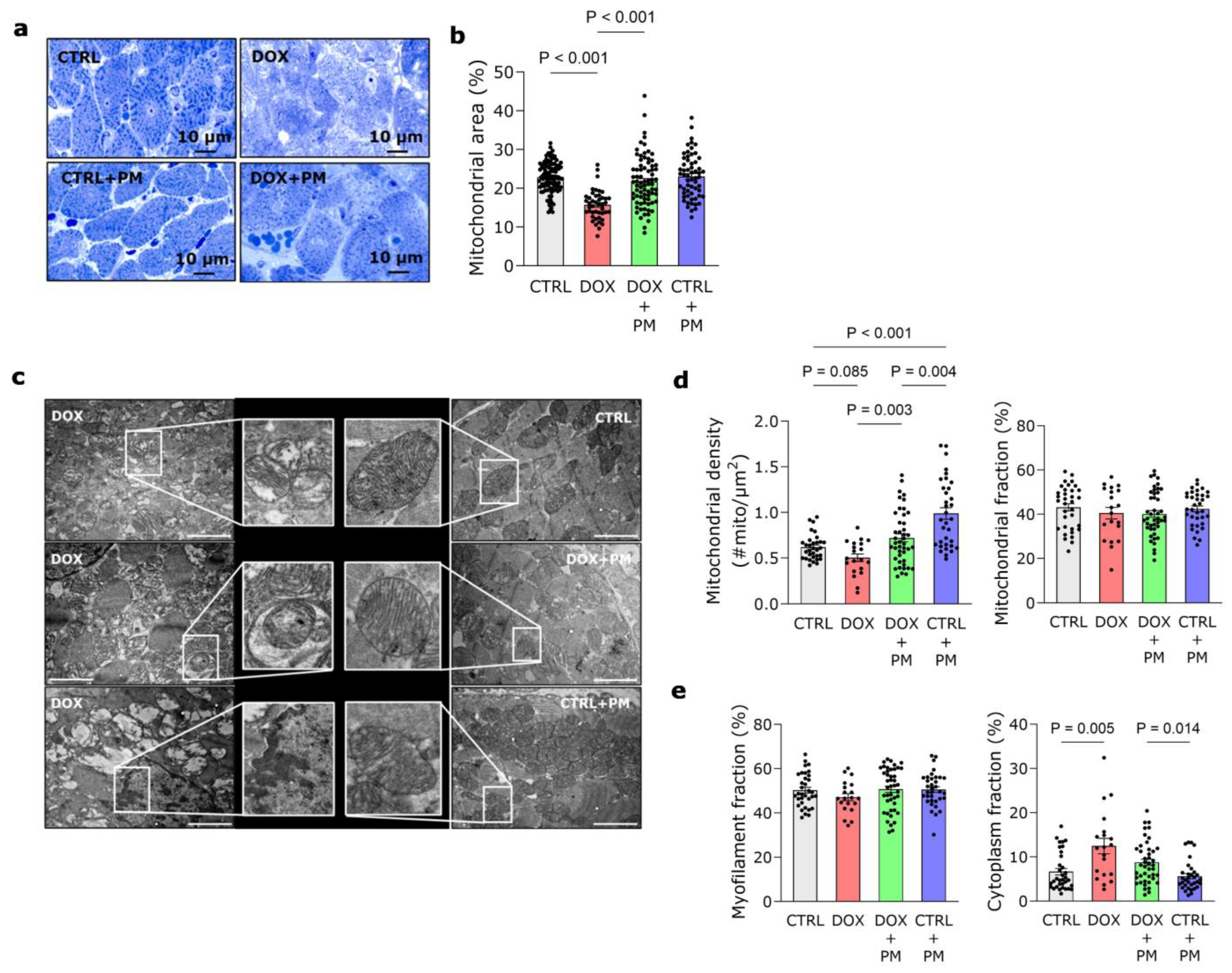 Antioxidants 13 00112 g004