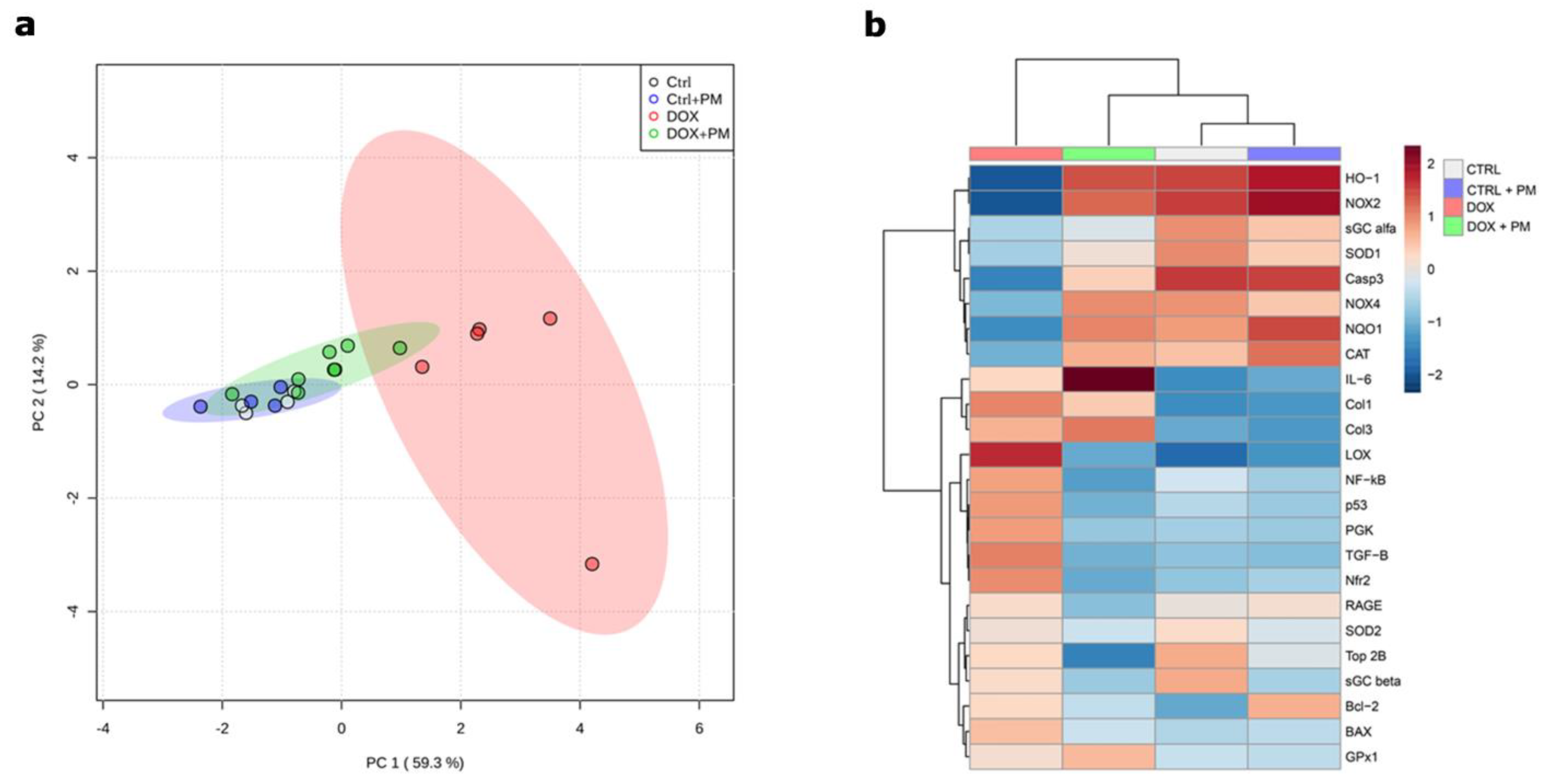 Antioxidants 13 00112 g005
