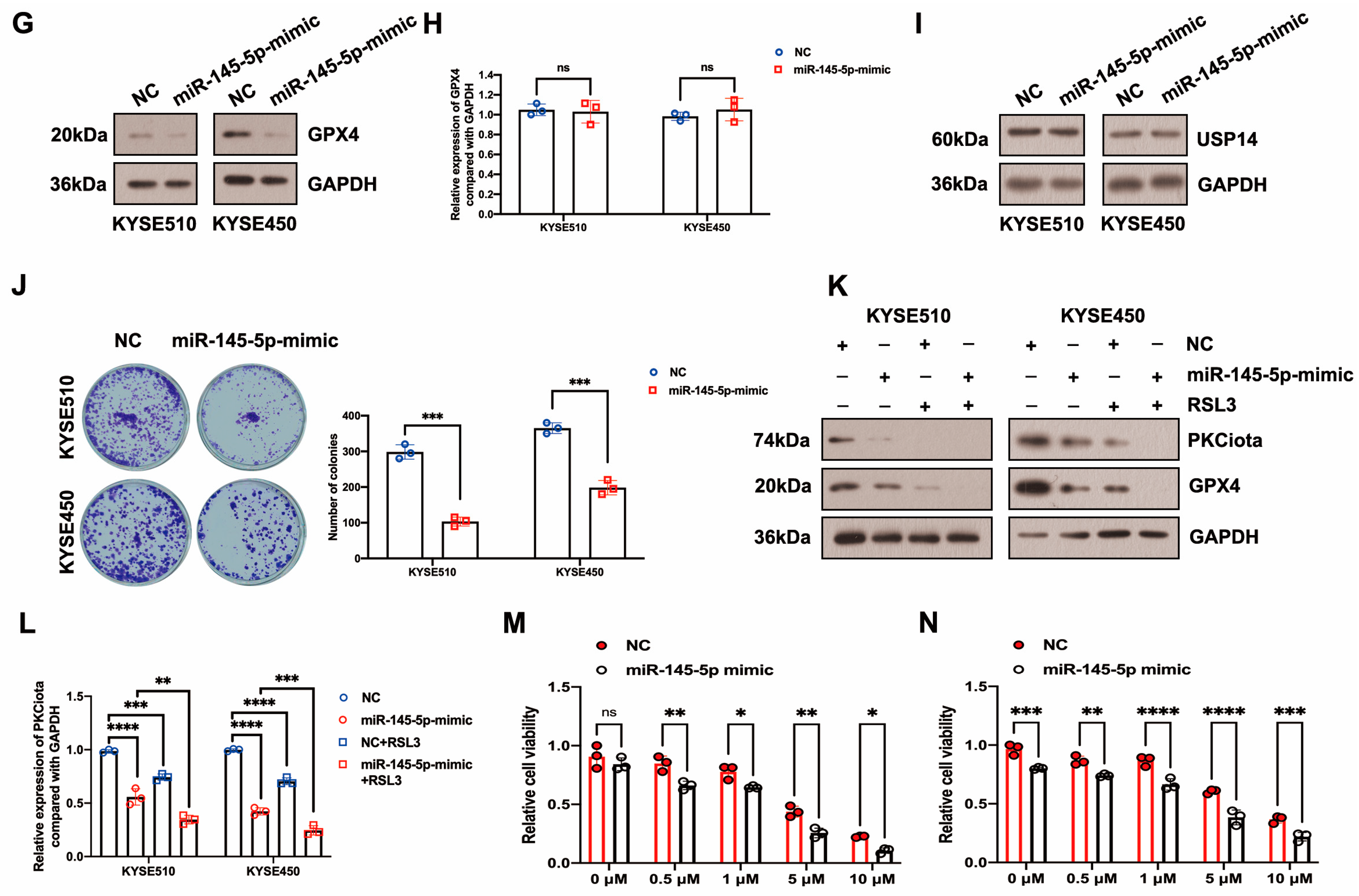 Antioxidants 13 00114 g004b