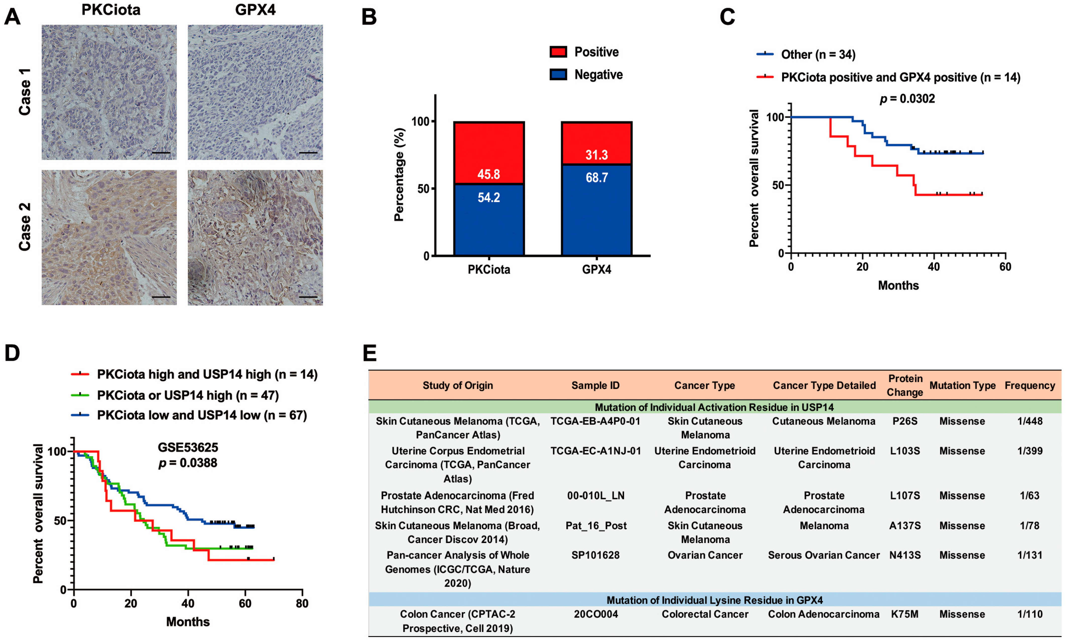 Antioxidants 13 00114 g007a