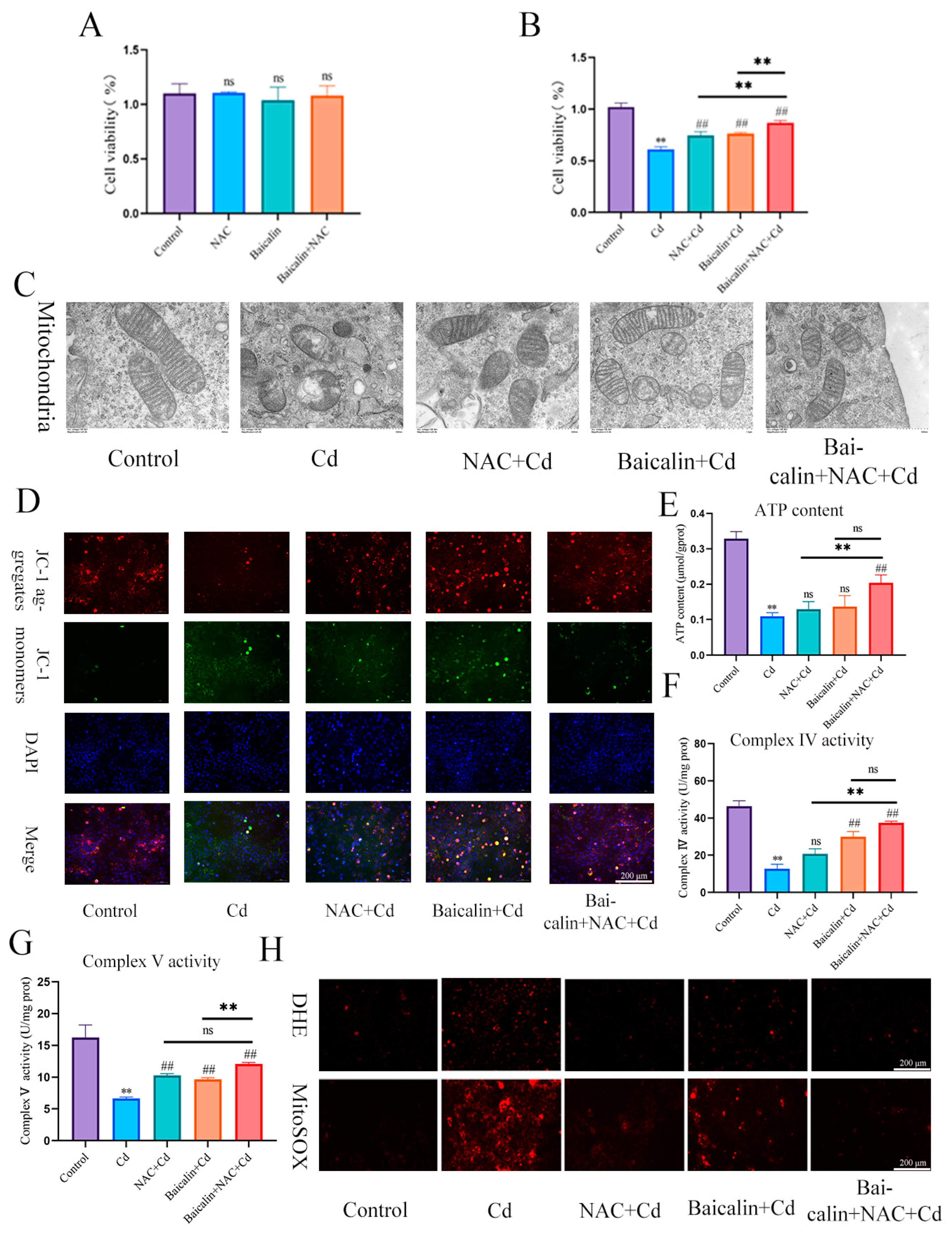 Antioxidants 13 00115 g002