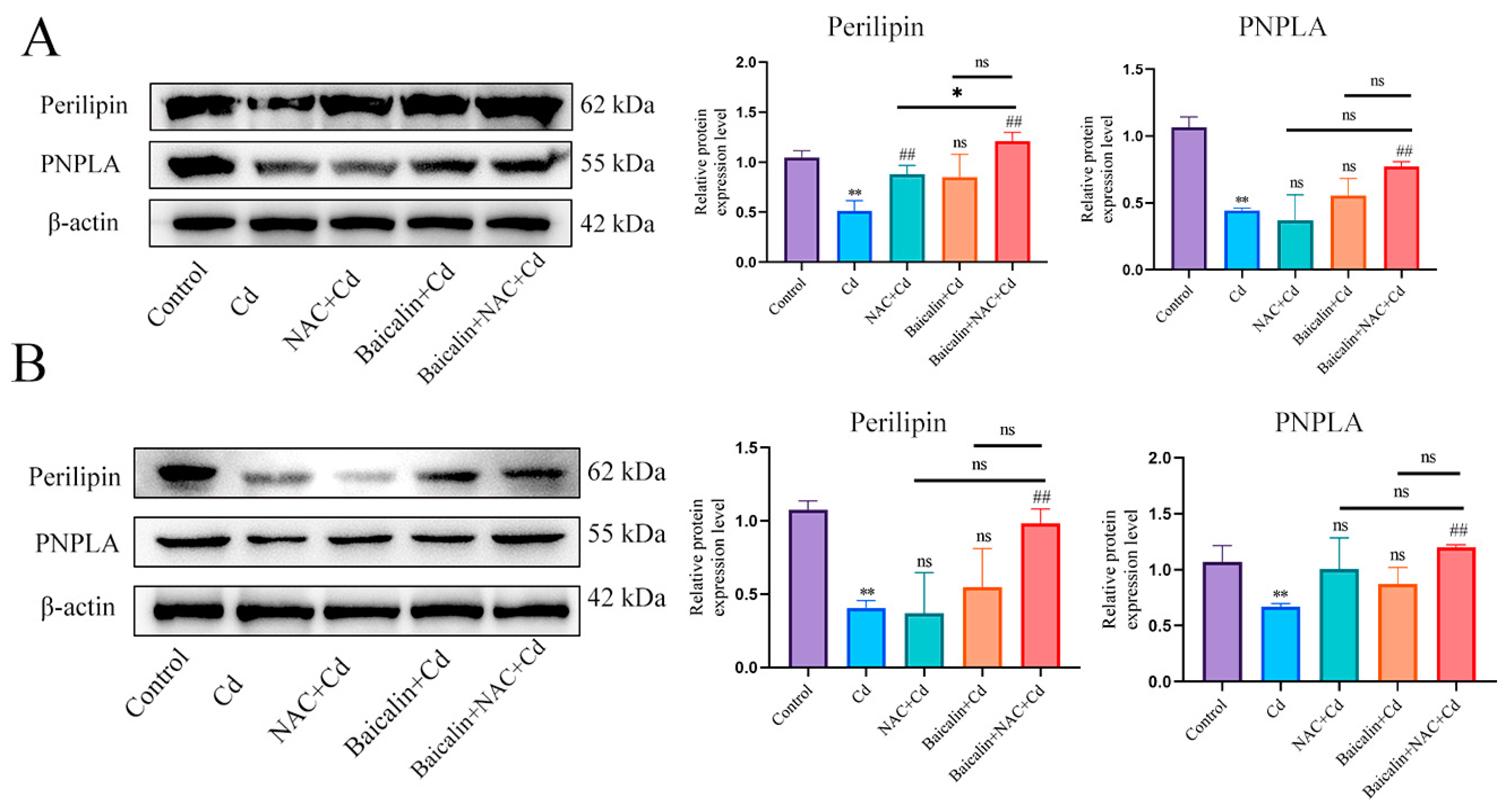 Antioxidants 13 00115 g005