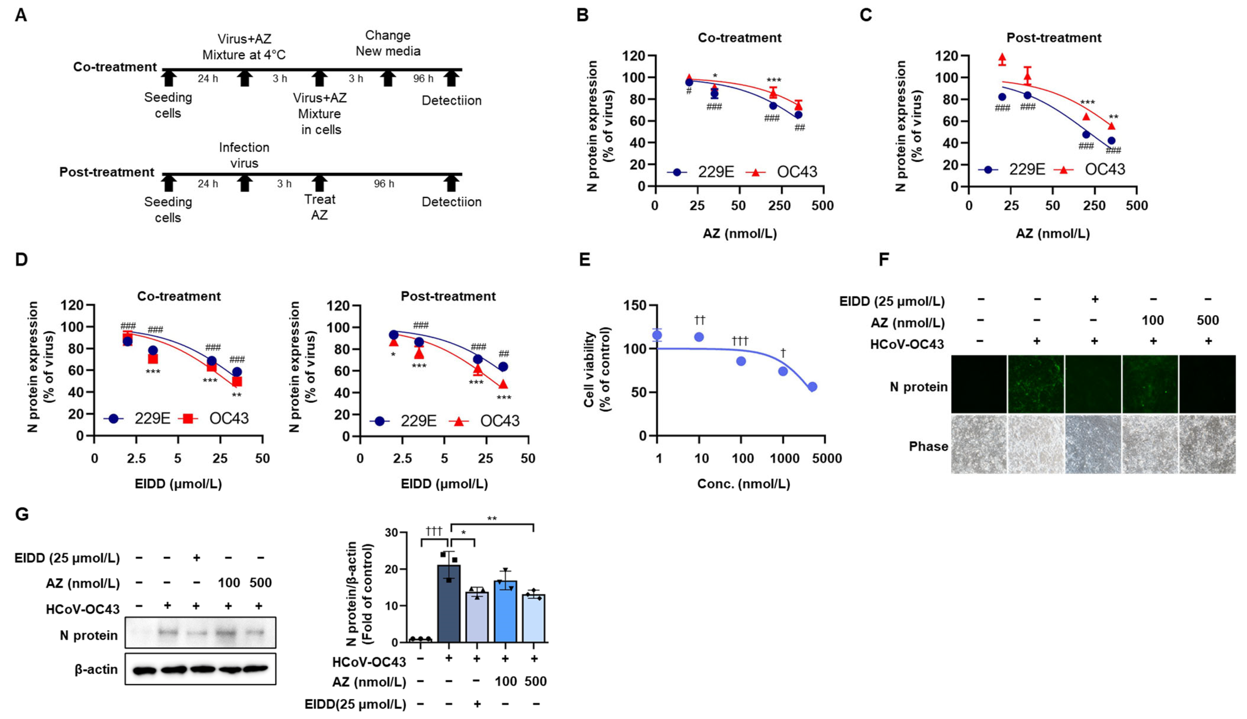 Antioxidants 13 00116 g001