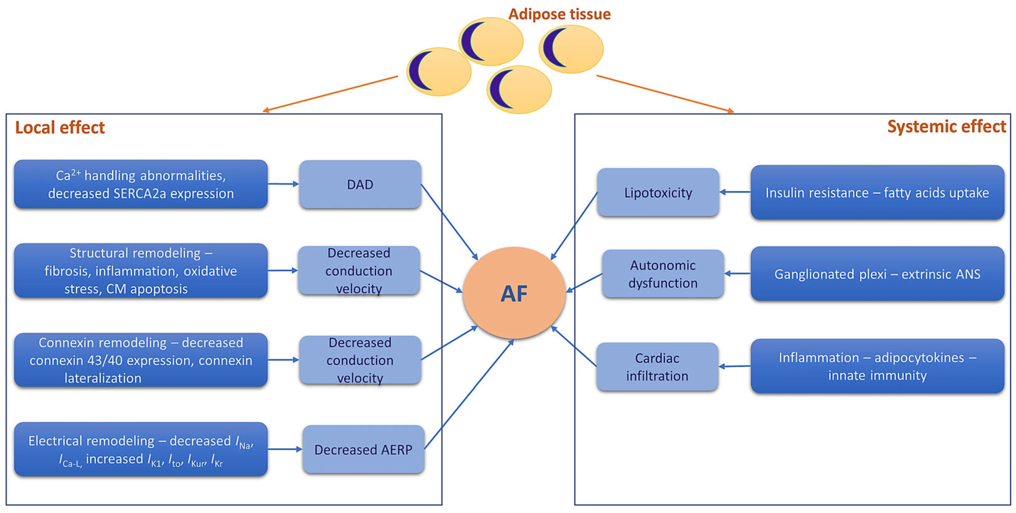 Antioxidants 13 00117 g002