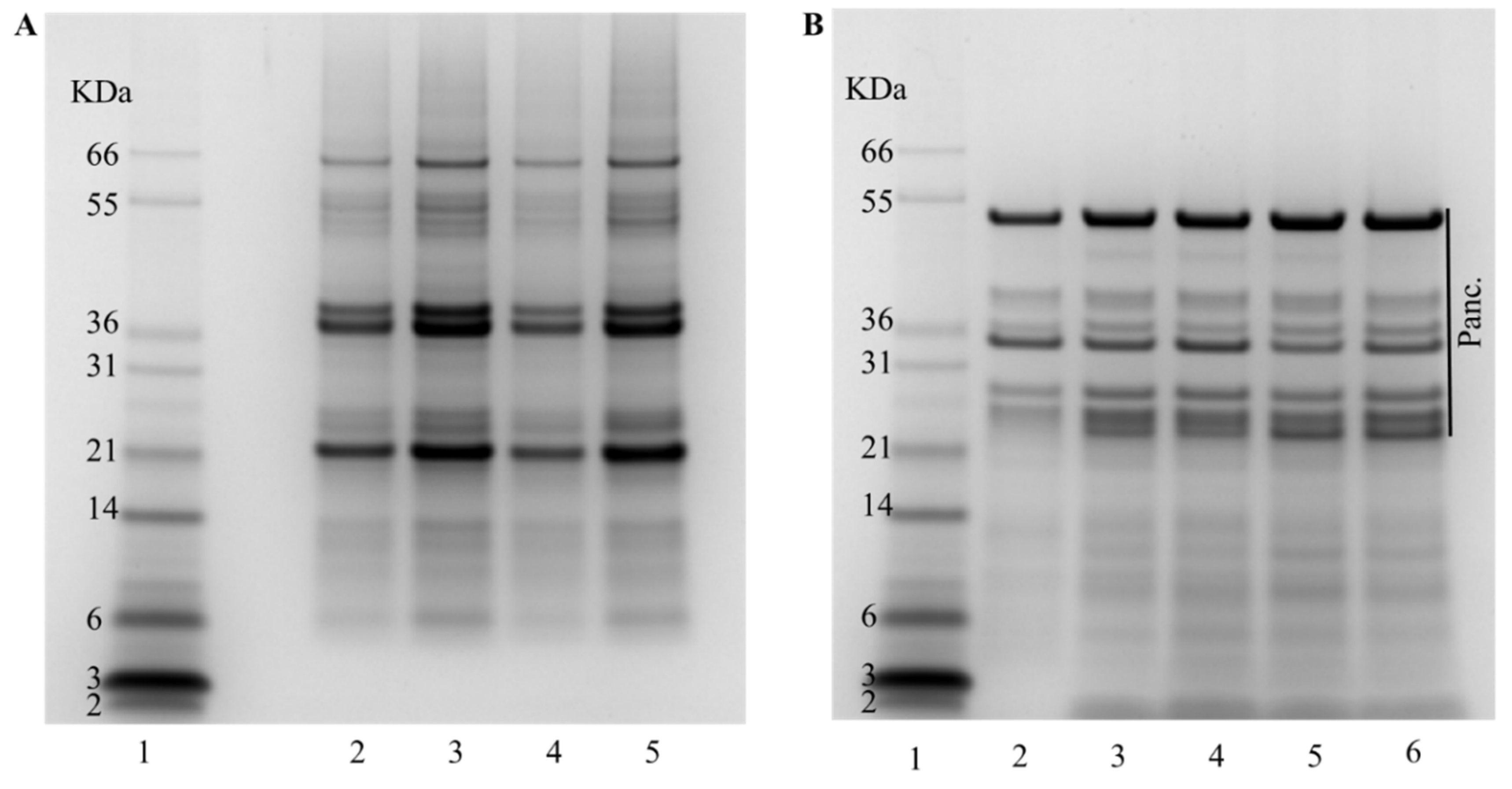Antioxidants 13 00118 g004