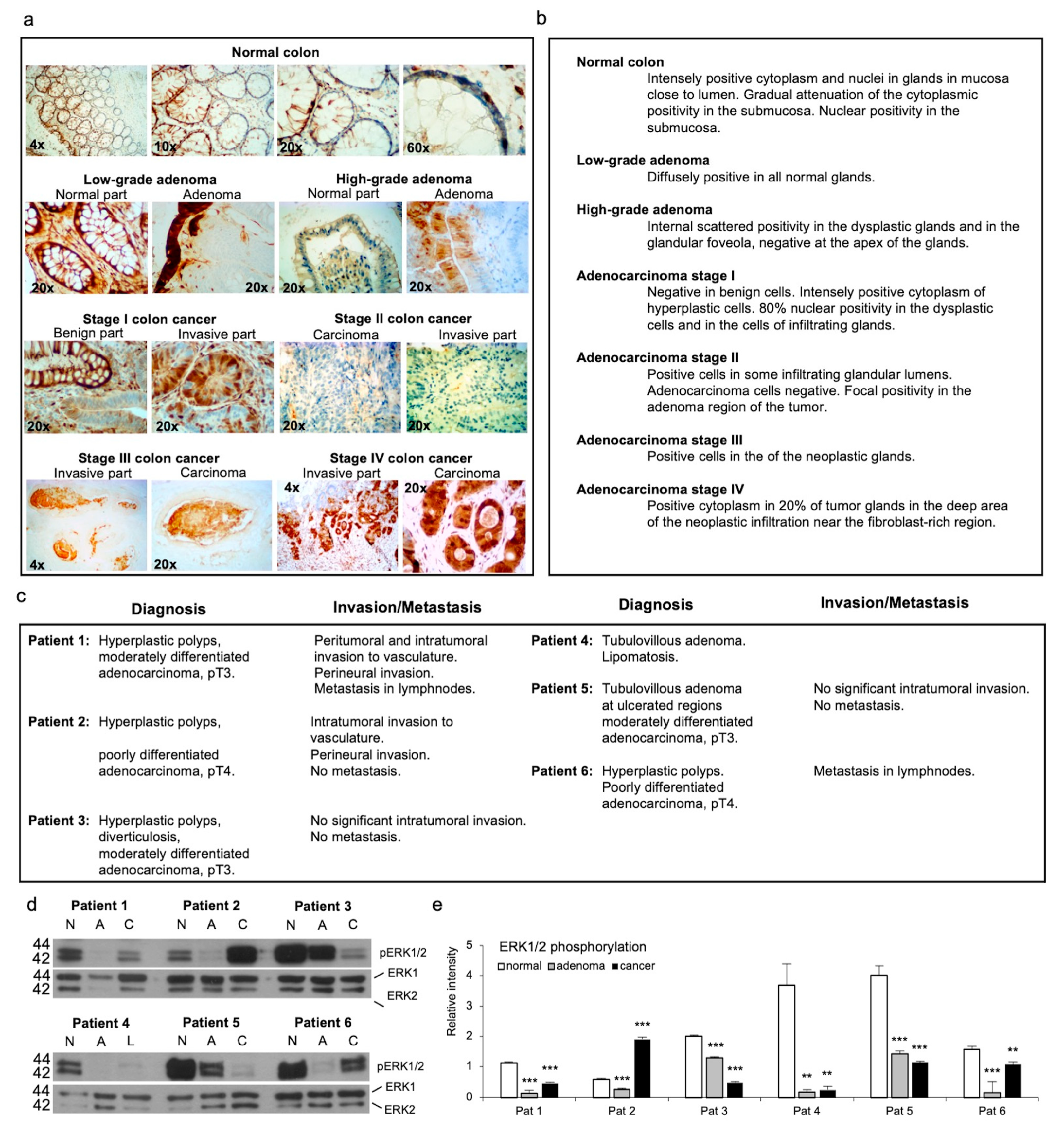 Antioxidants 13 00119 g001