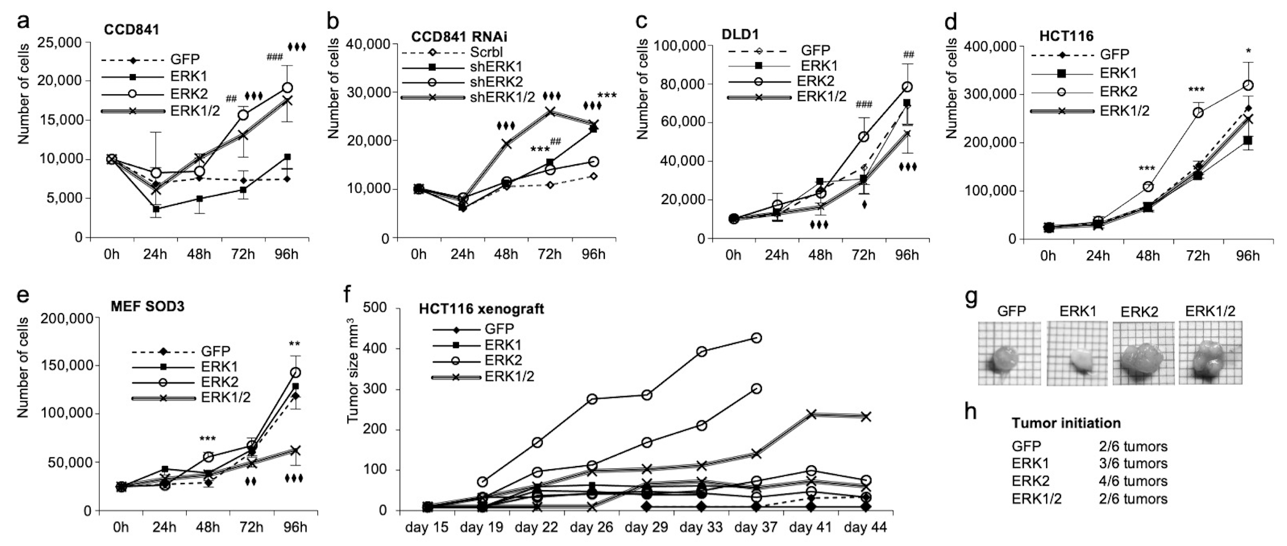 Antioxidants 13 00119 g005