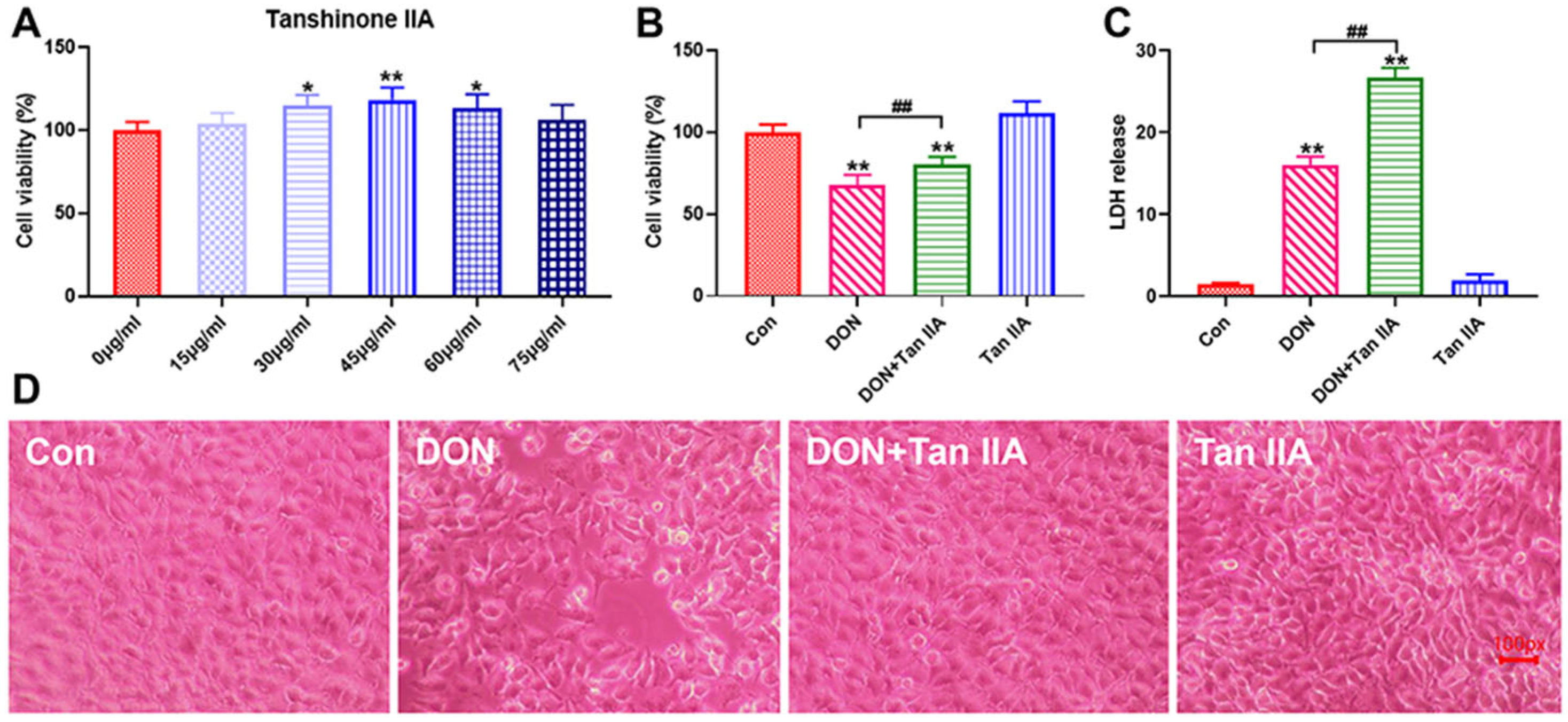 Antioxidants 13 00121 g001