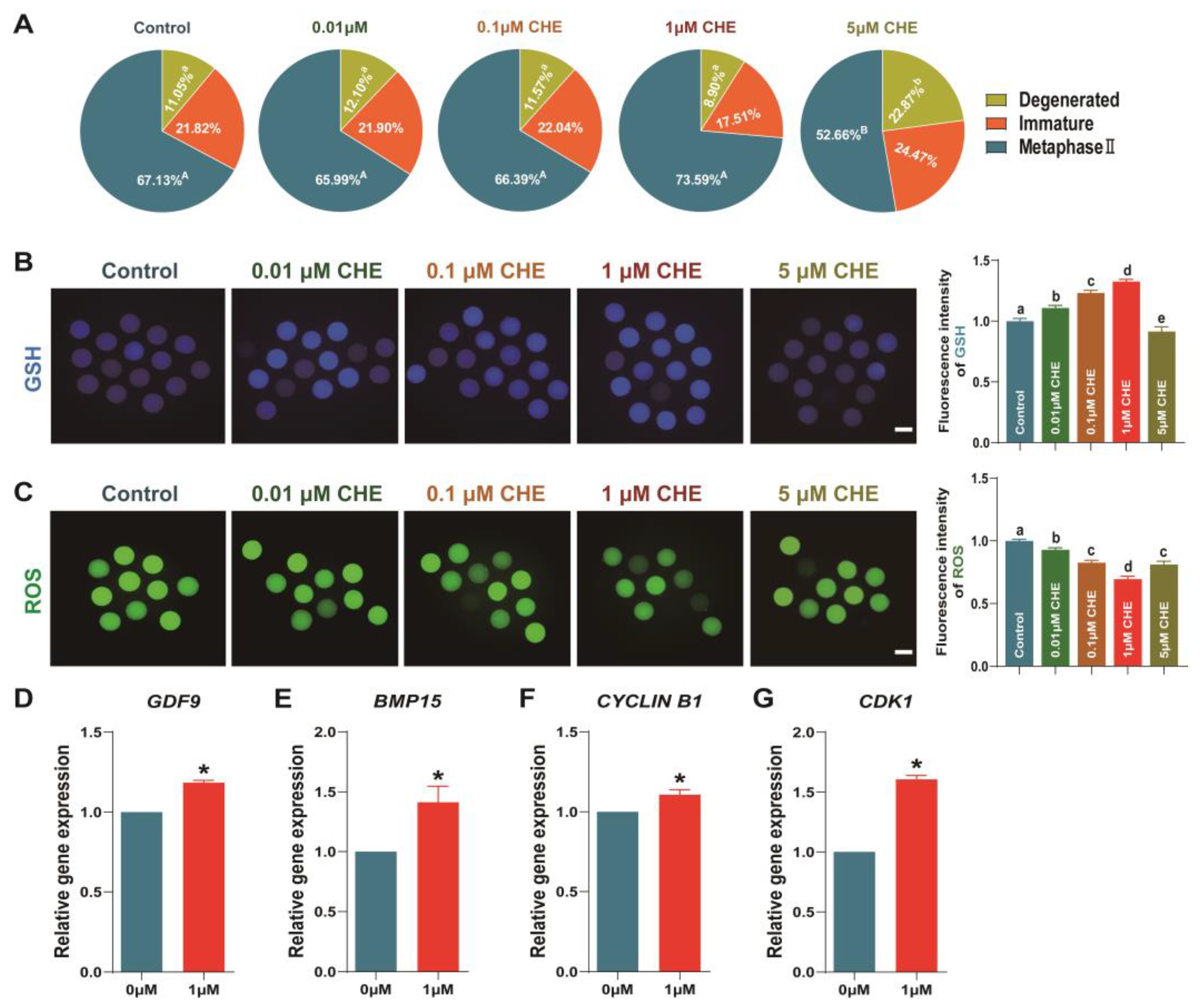 Antioxidants 13 00122 g002