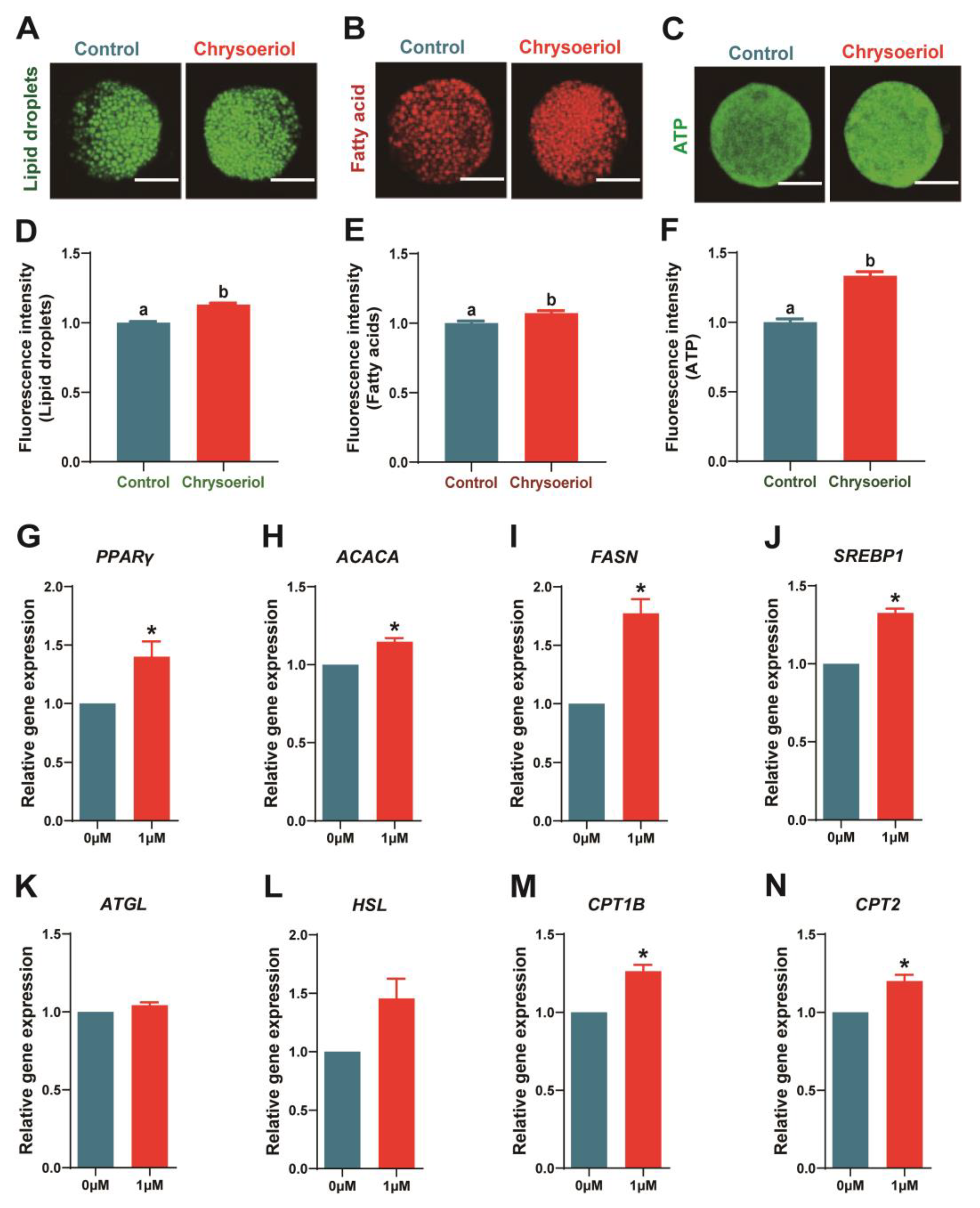 Antioxidants 13 00122 g004