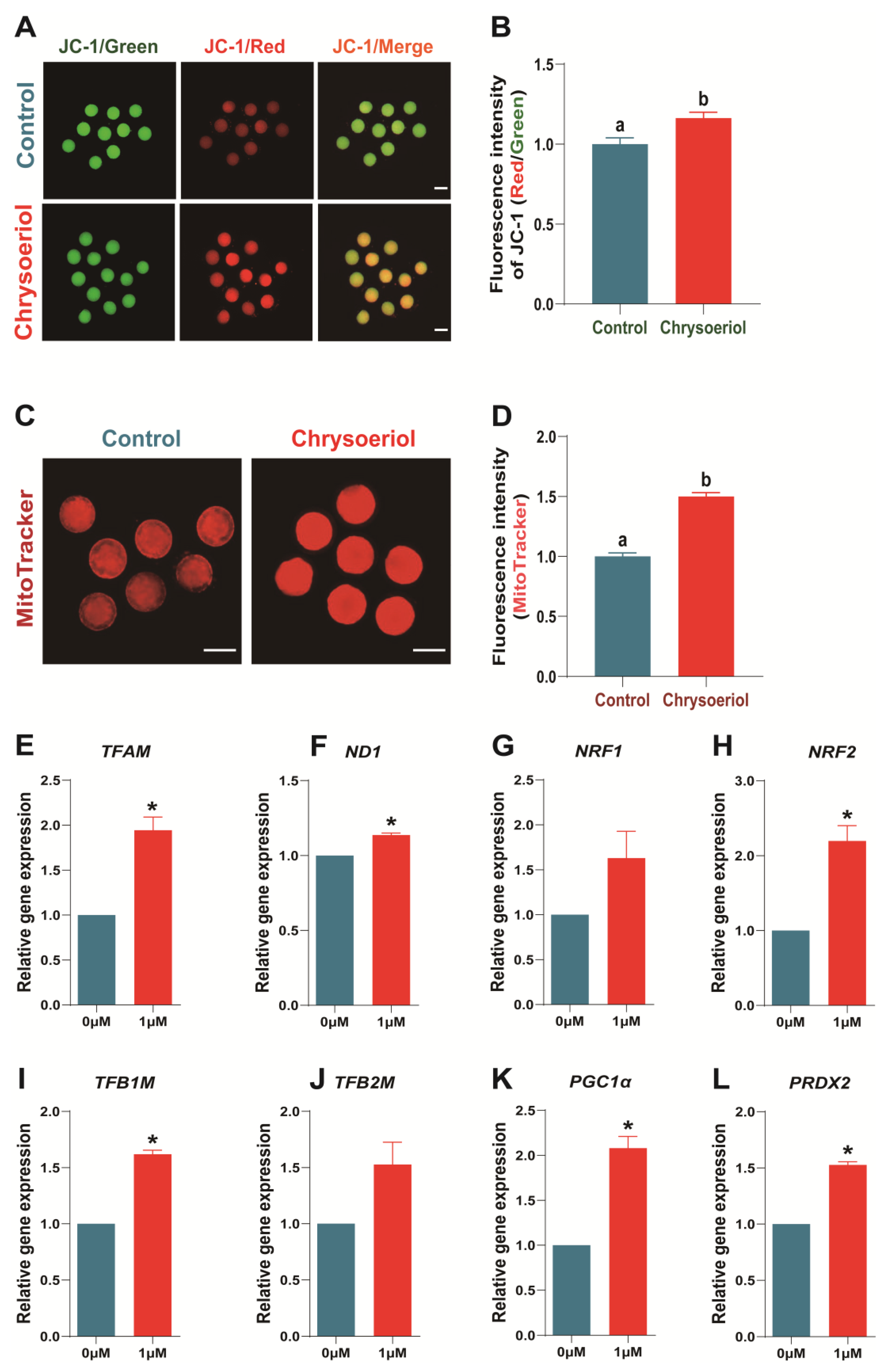 Antioxidants 13 00122 g005