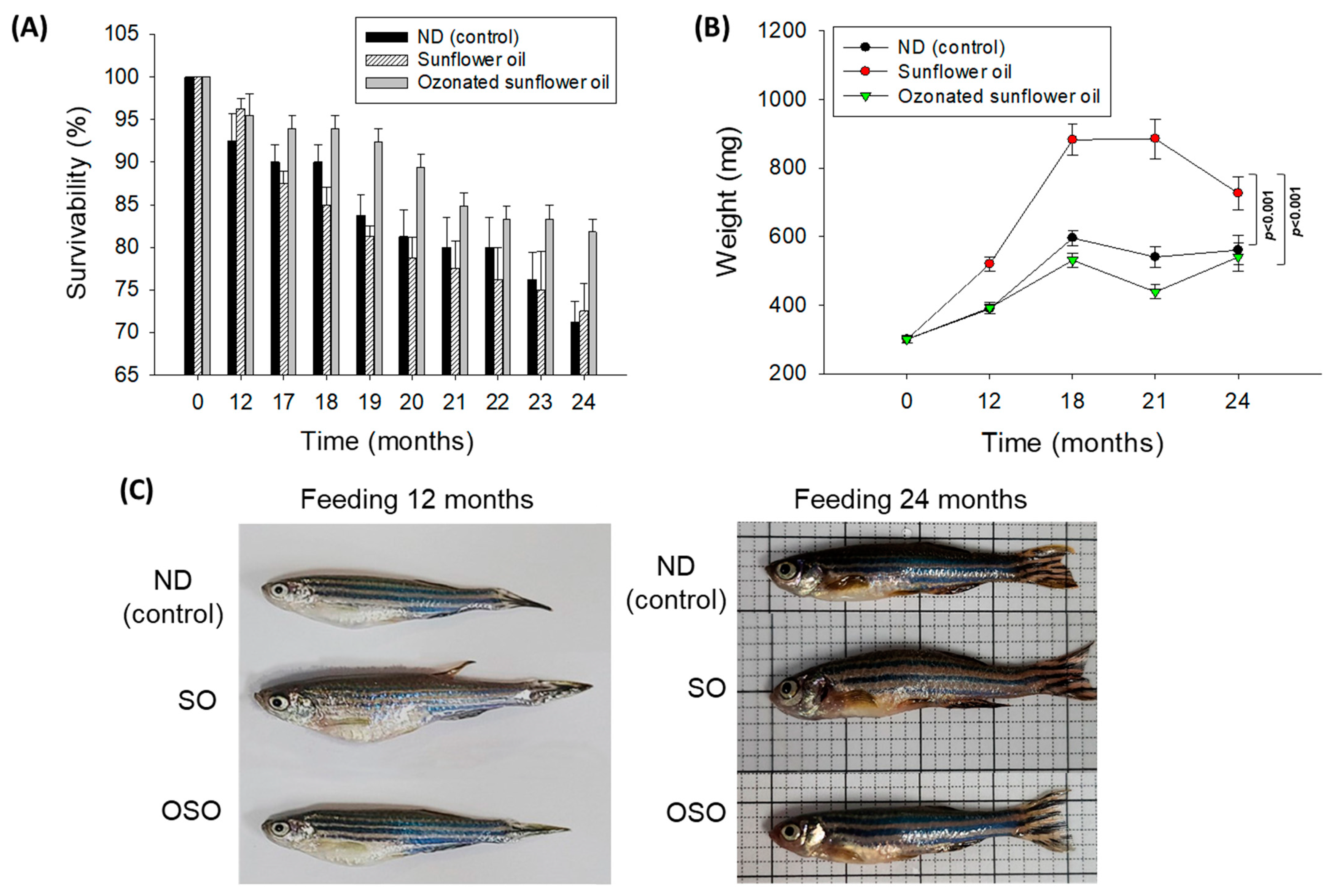 Antioxidants 13 00123 g001