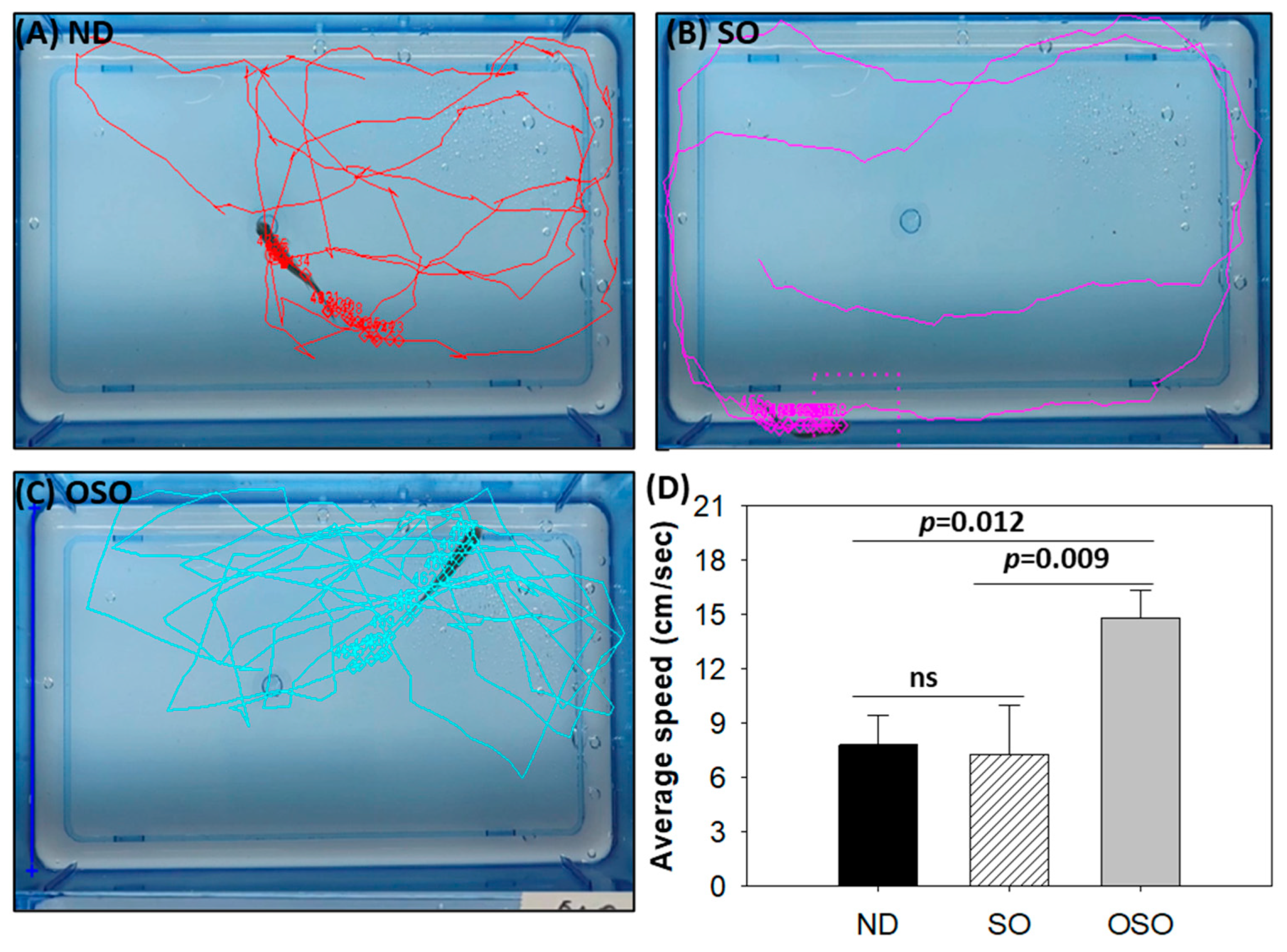 Antioxidants 13 00123 g003