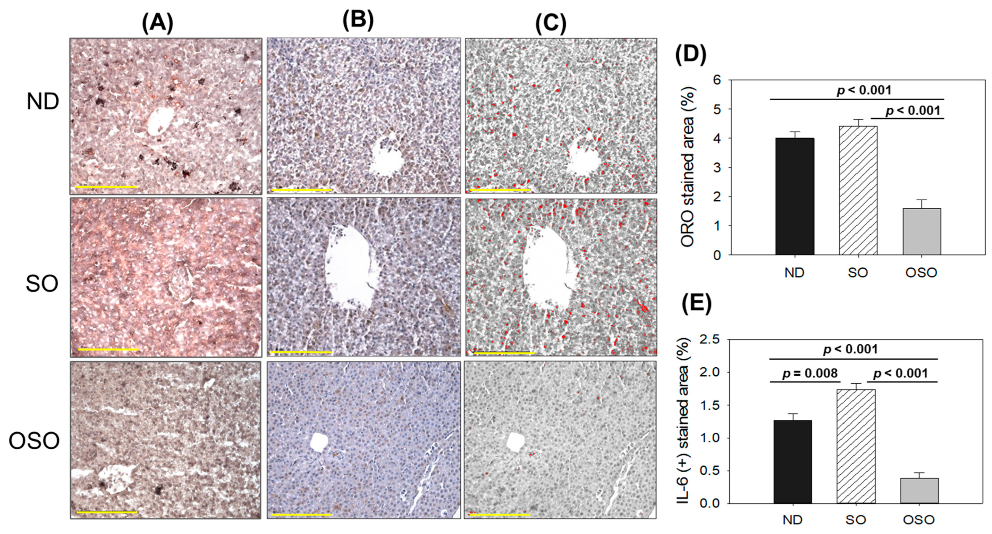 Antioxidants 13 00123 g005