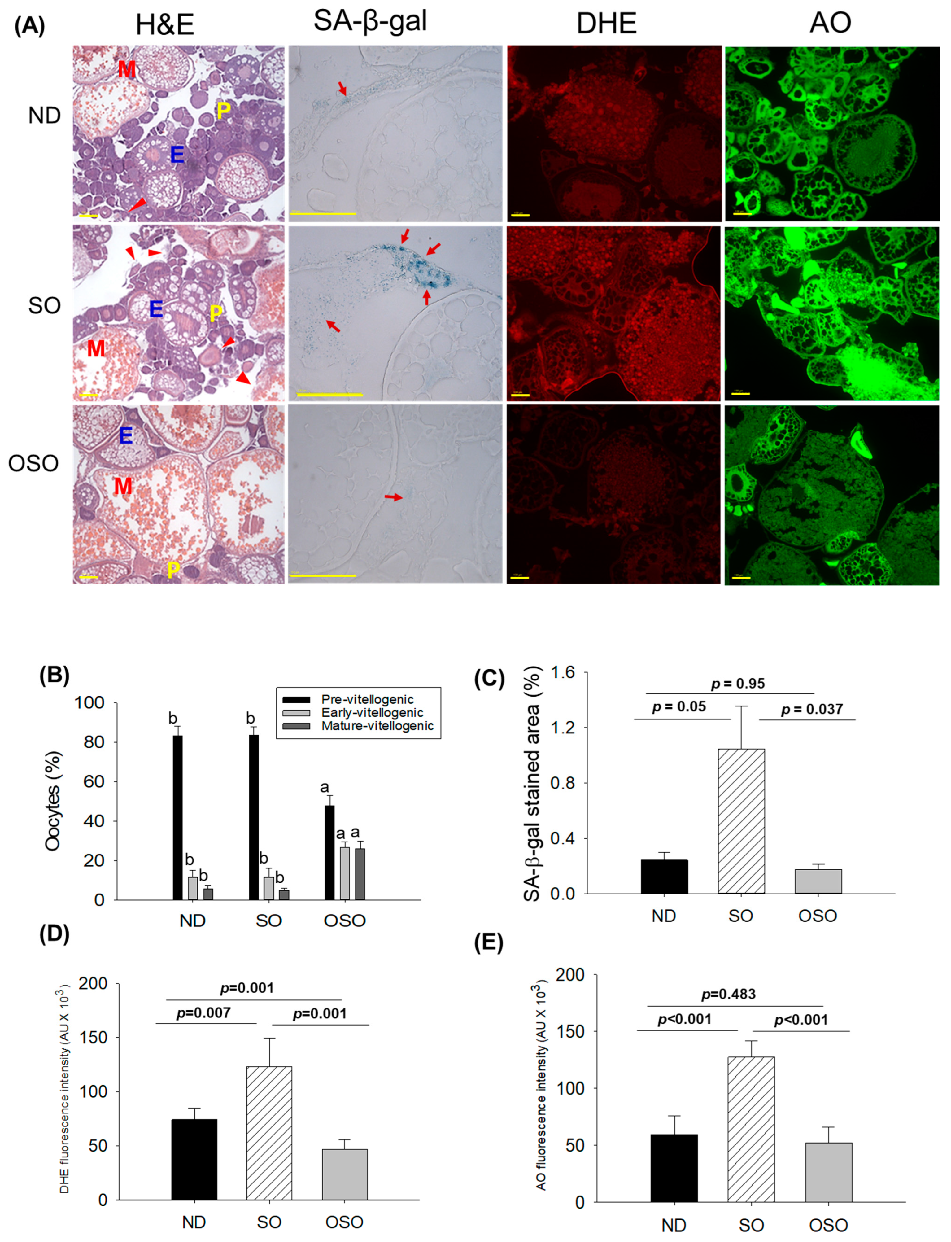 Antioxidants 13 00123 g008