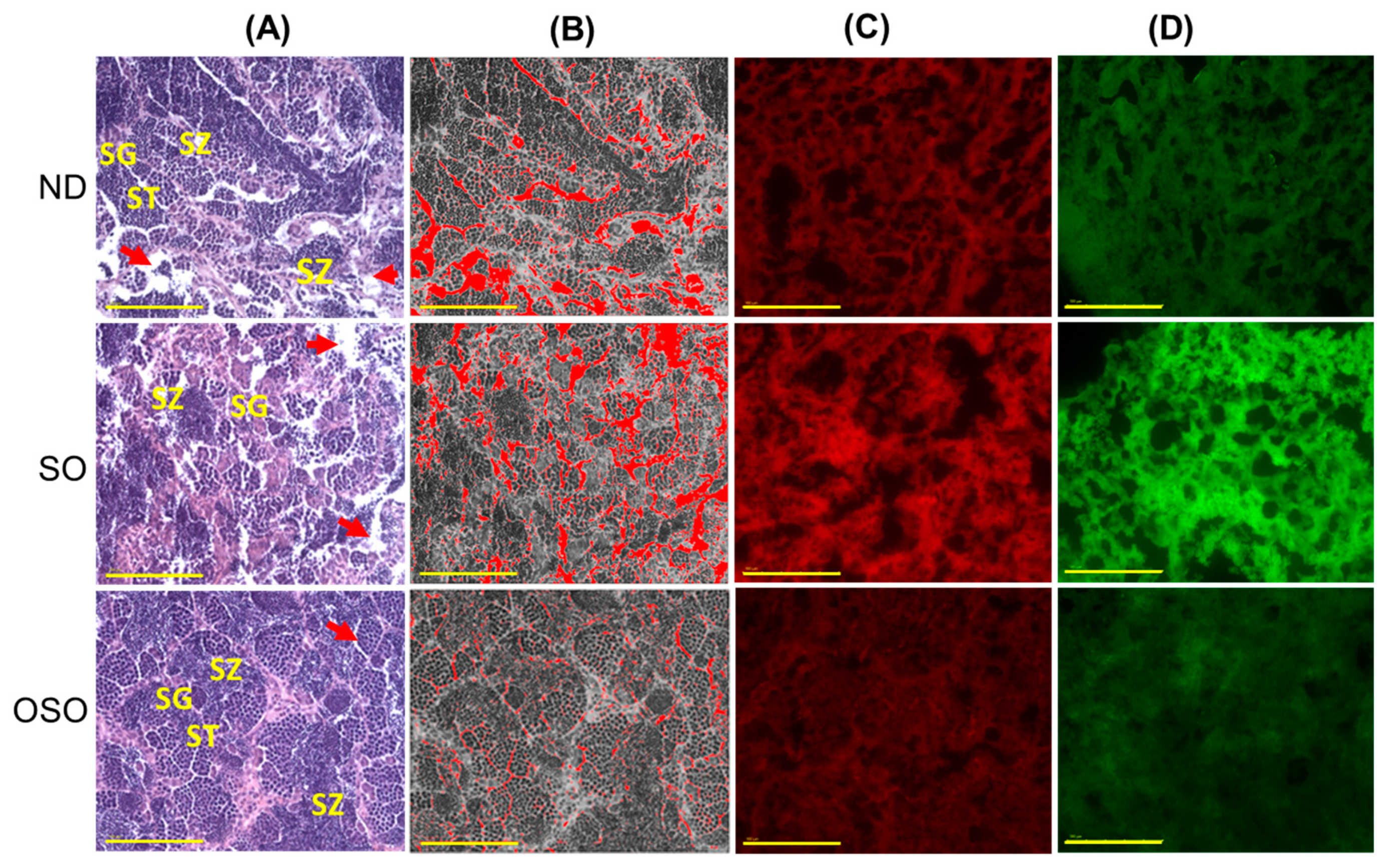 Antioxidants 13 00123 g009a