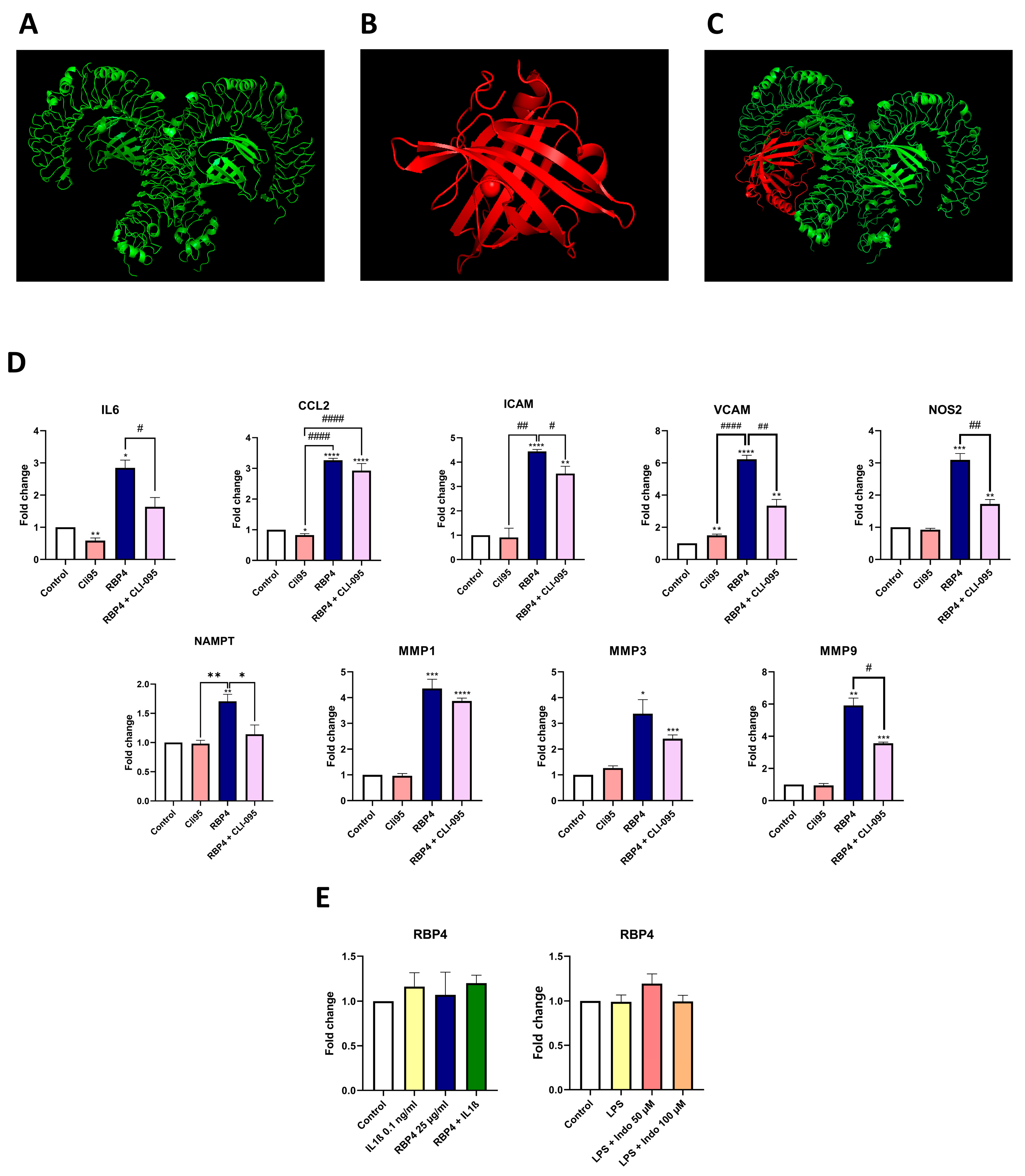 Antioxidants 13 00124 g003