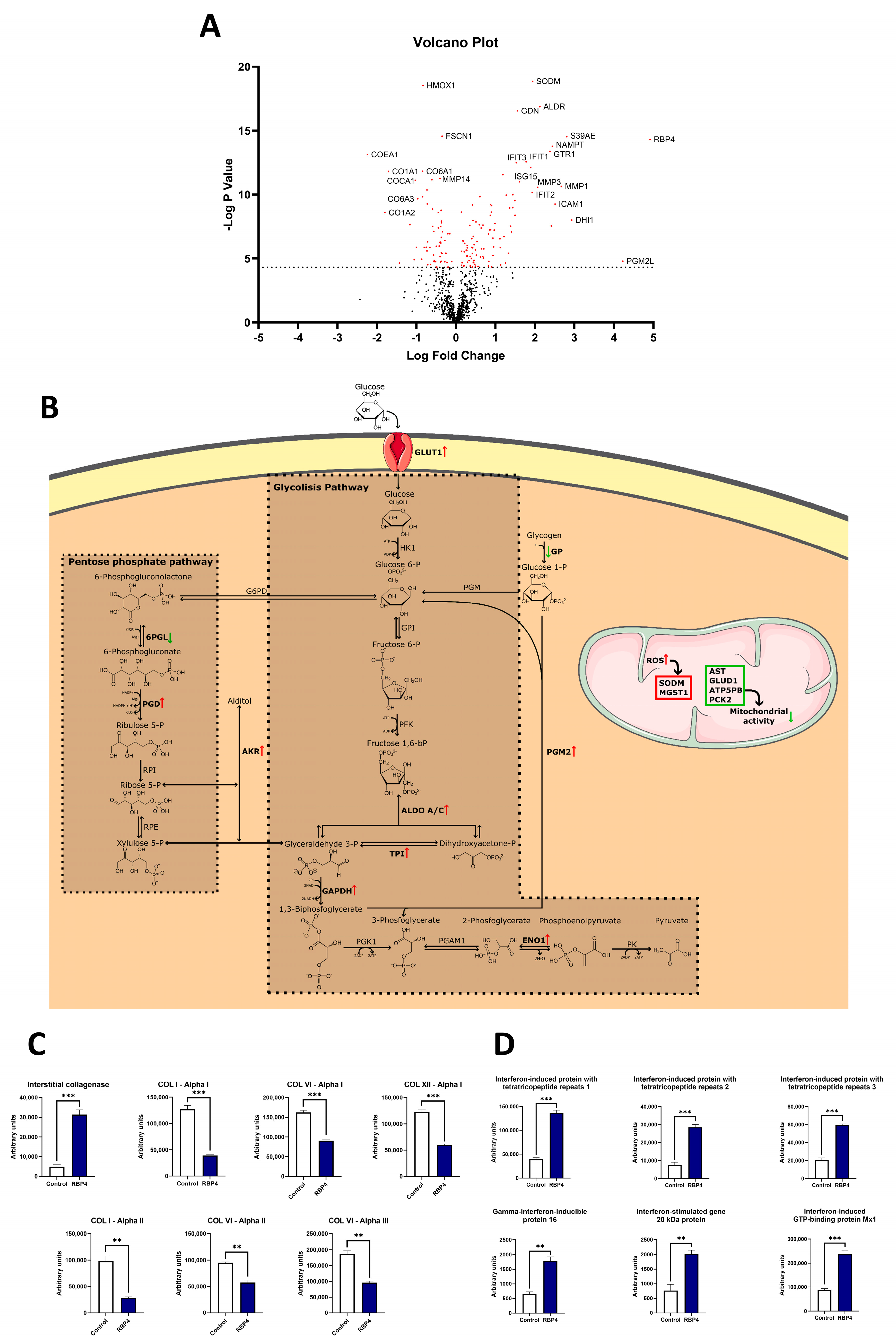 Antioxidants 13 00124 g004