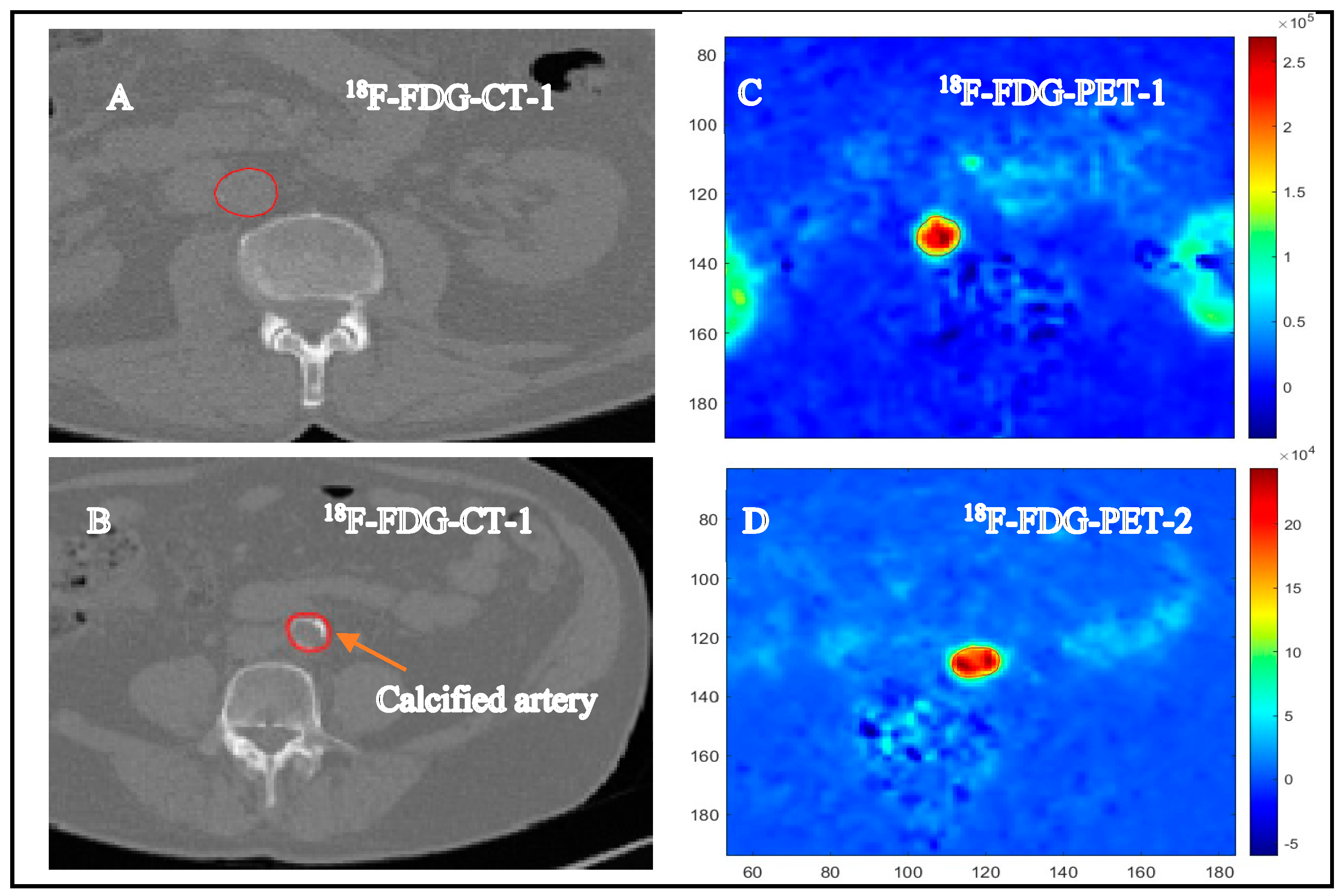 Antioxidants 13 00130 g001