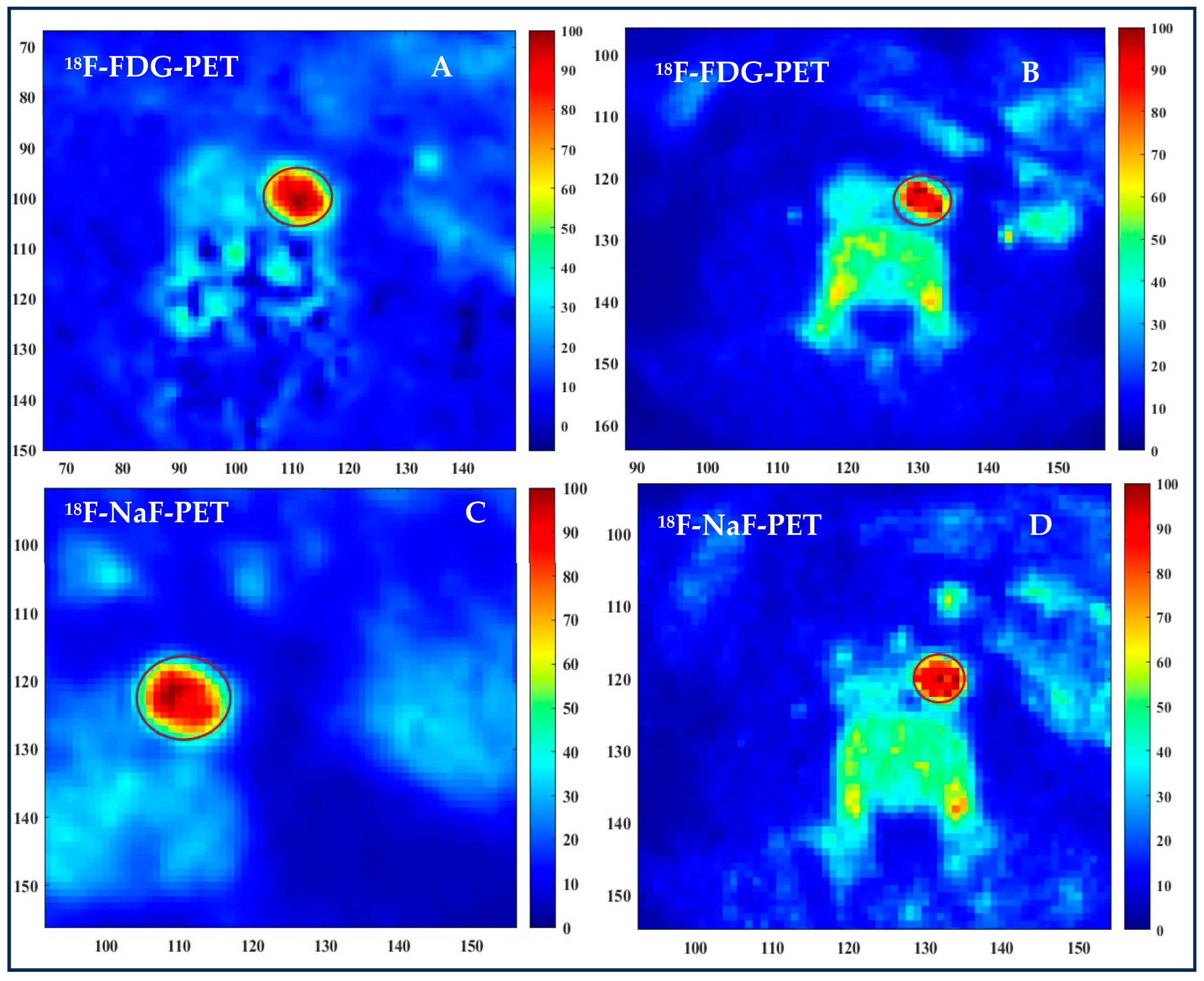 Antioxidants 13 00130 g003