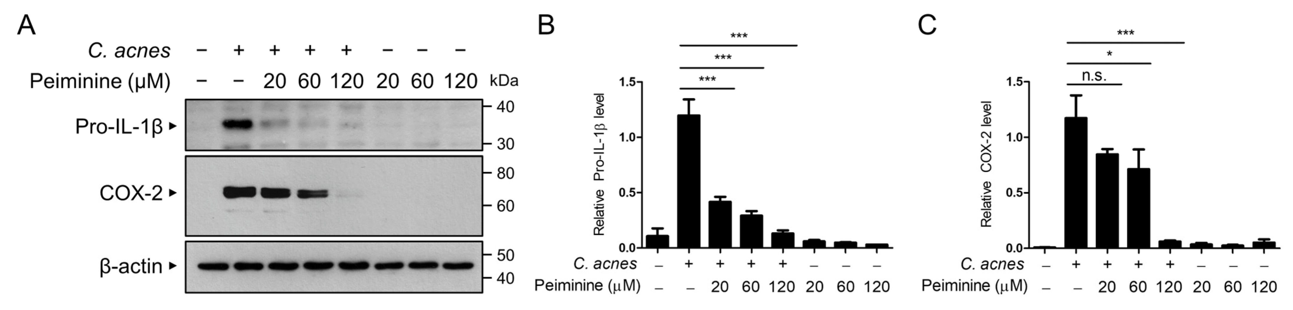 Antioxidants 13 00131 g002