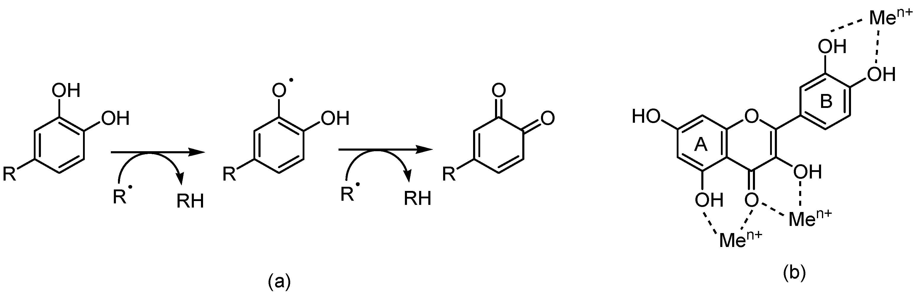 Antioxidants 13 00133 g002