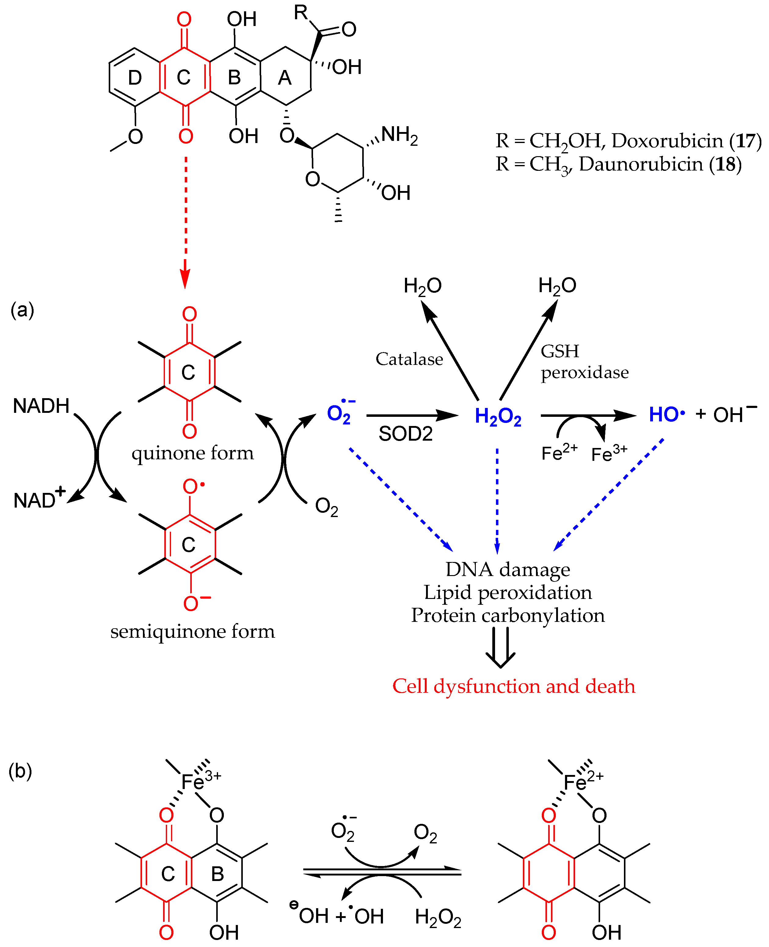Antioxidants 13 00133 g005