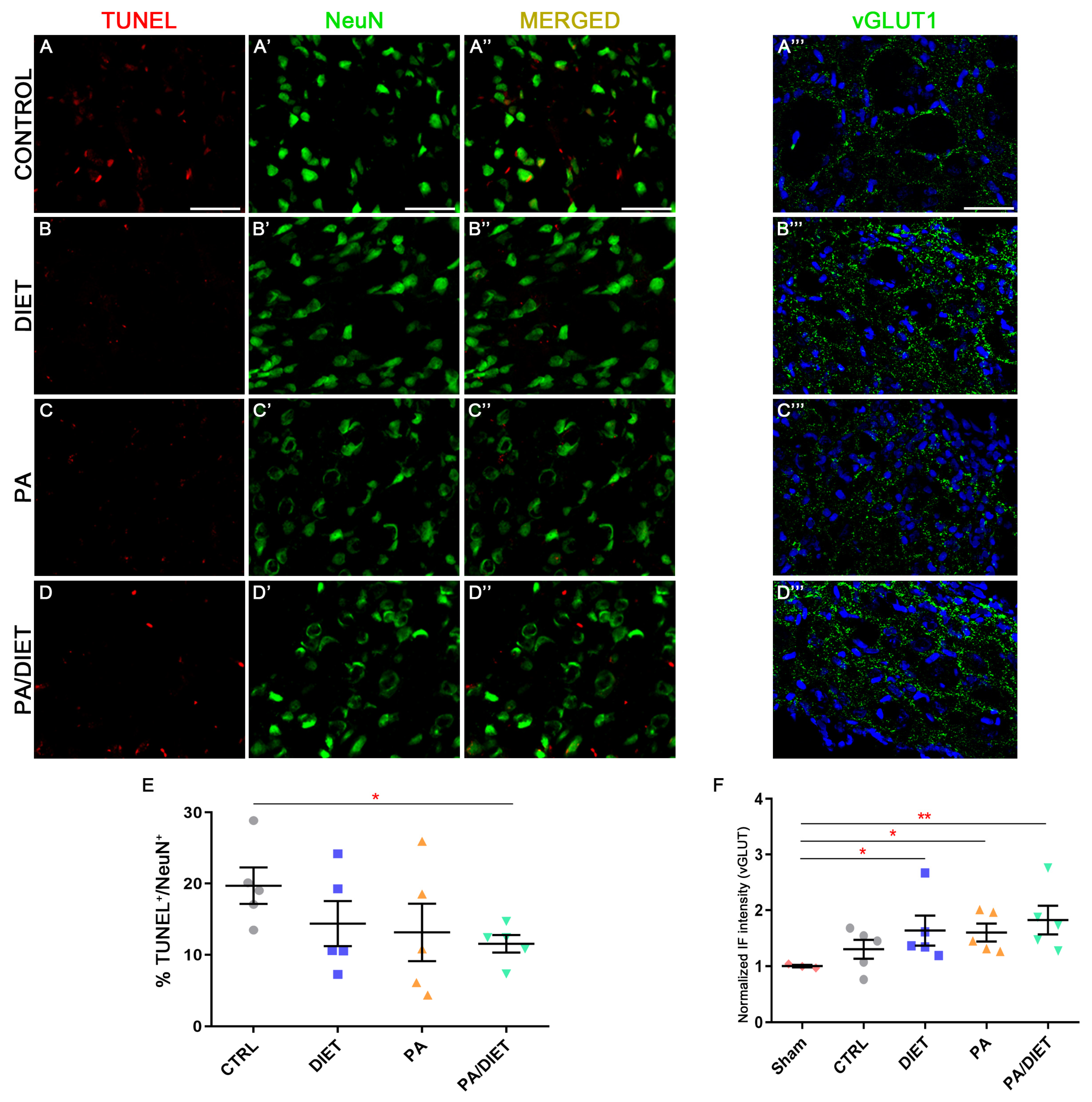 Antioxidants 13 00138 g007